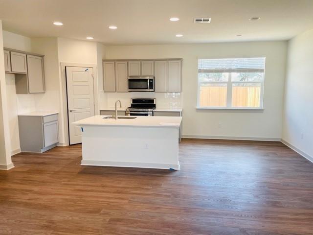 161 Filifera Ct, Leander, TX 78641