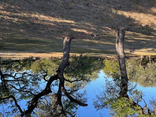 1212 Ridge Oak Dr, Wimberley, TX 78676