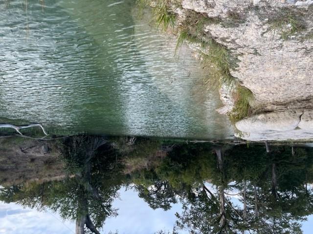 1212 Ridge Oak Dr, Wimberley, TX 78676