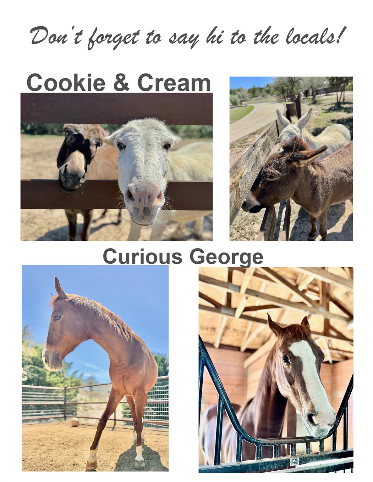 1051 Trailhead Cir, Dripping Springs, TX 78620