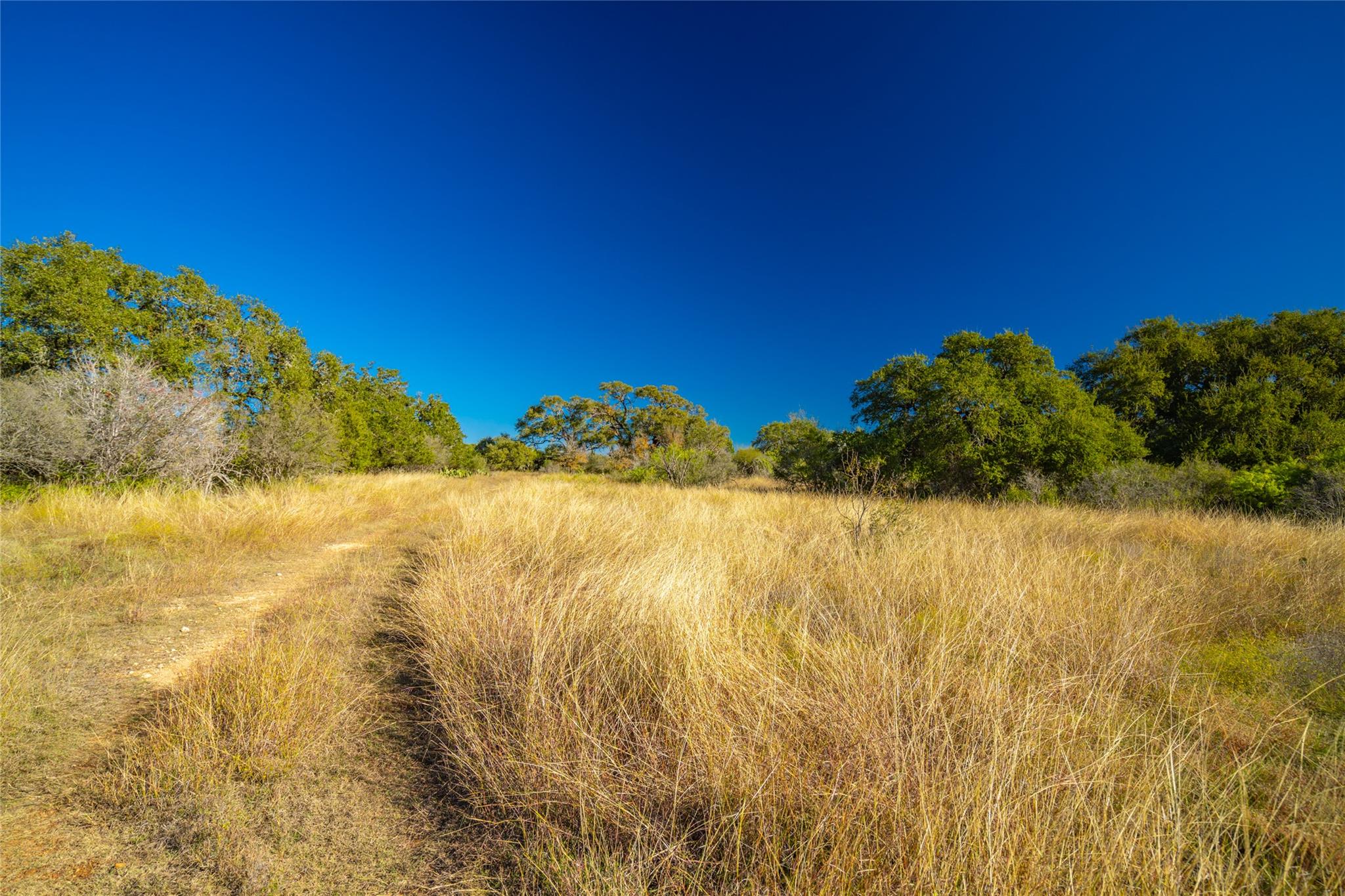 00 Quail Run Dr, San Marcos, TX 78666