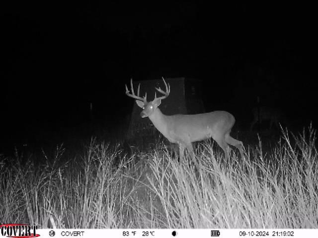 00 Quail Run Dr, San Marcos, TX 78666