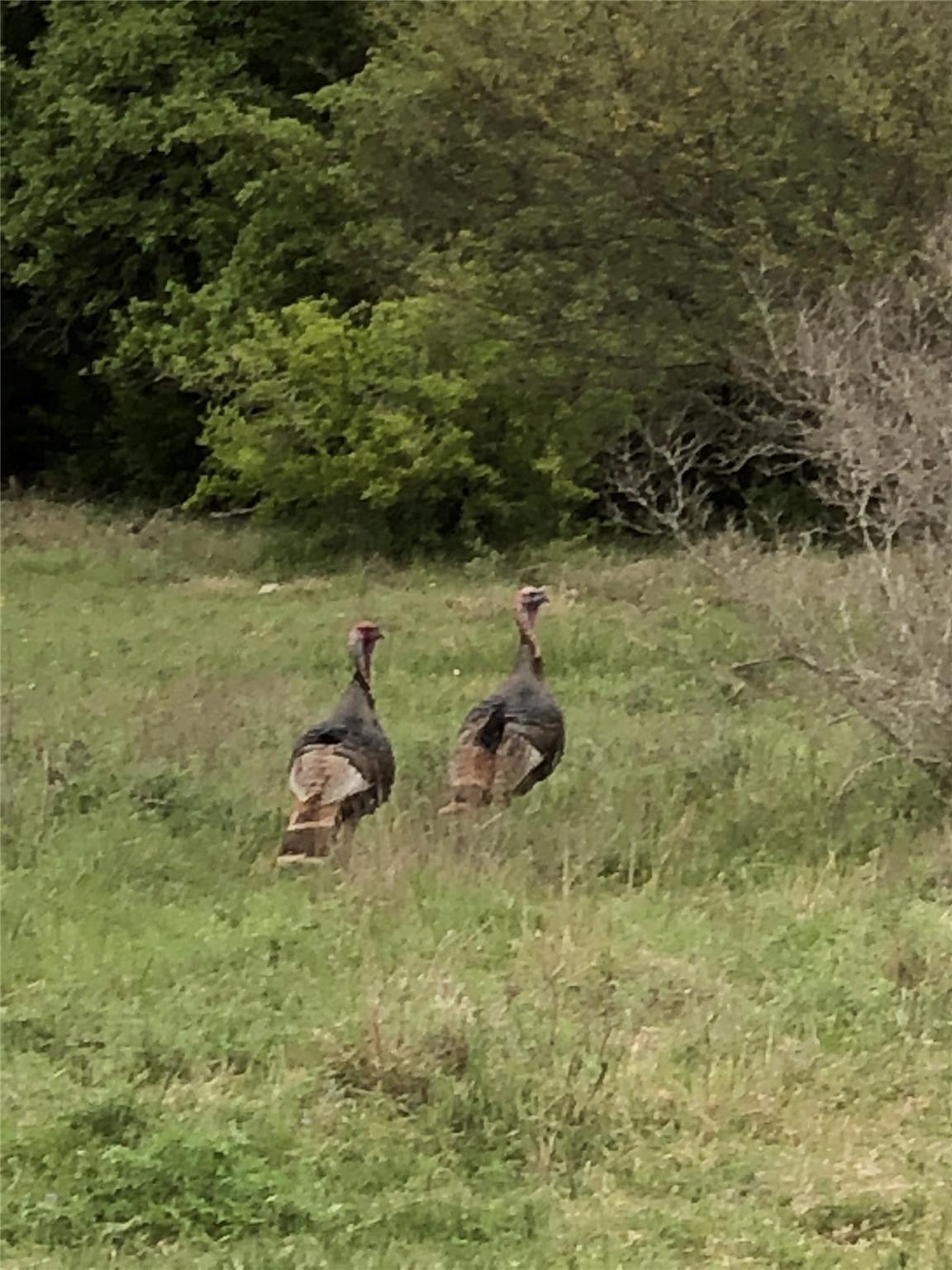 00 Quail Run Dr, San Marcos, TX 78666