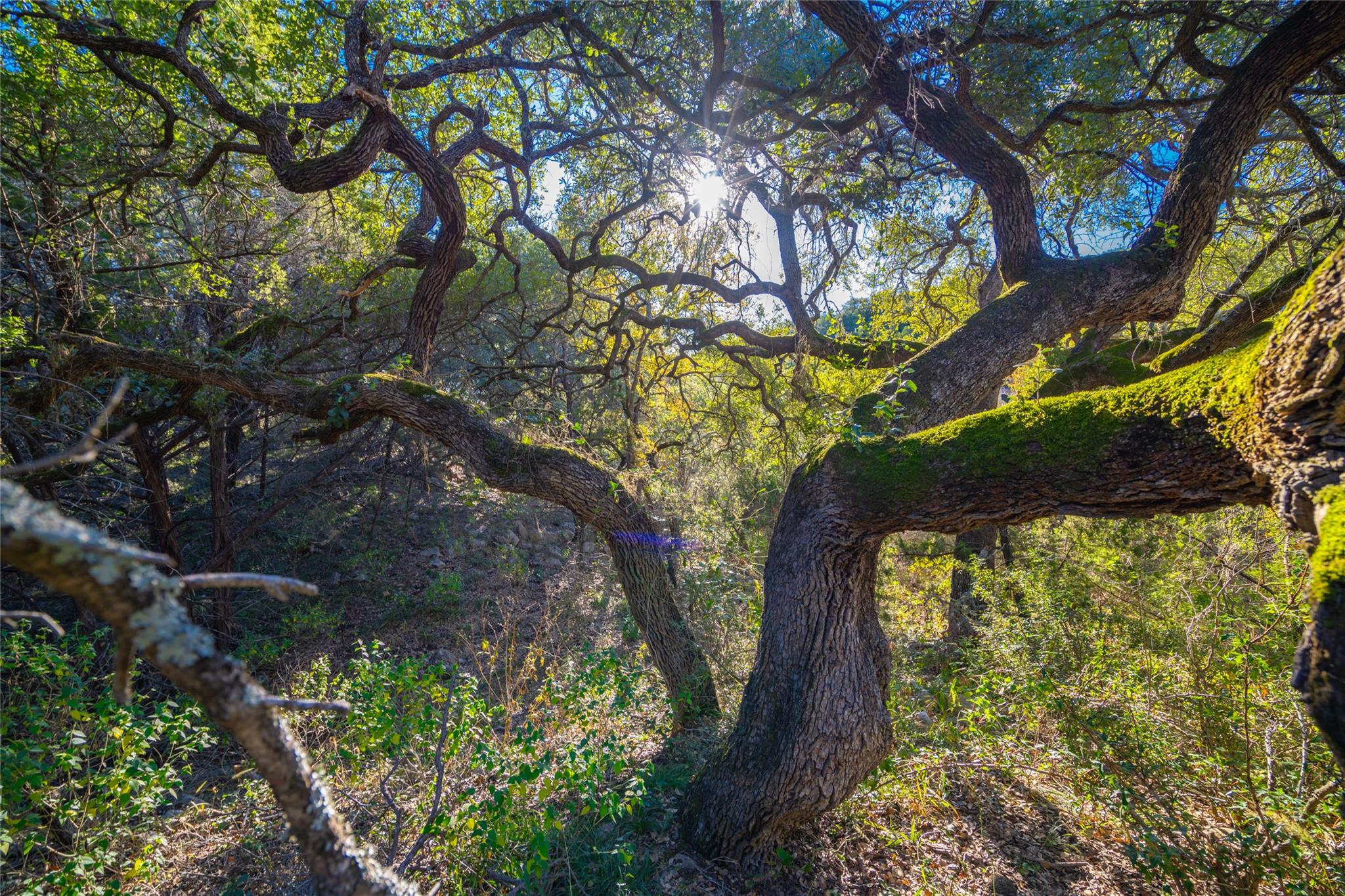 00 Quail Run Dr, San Marcos, TX 78666