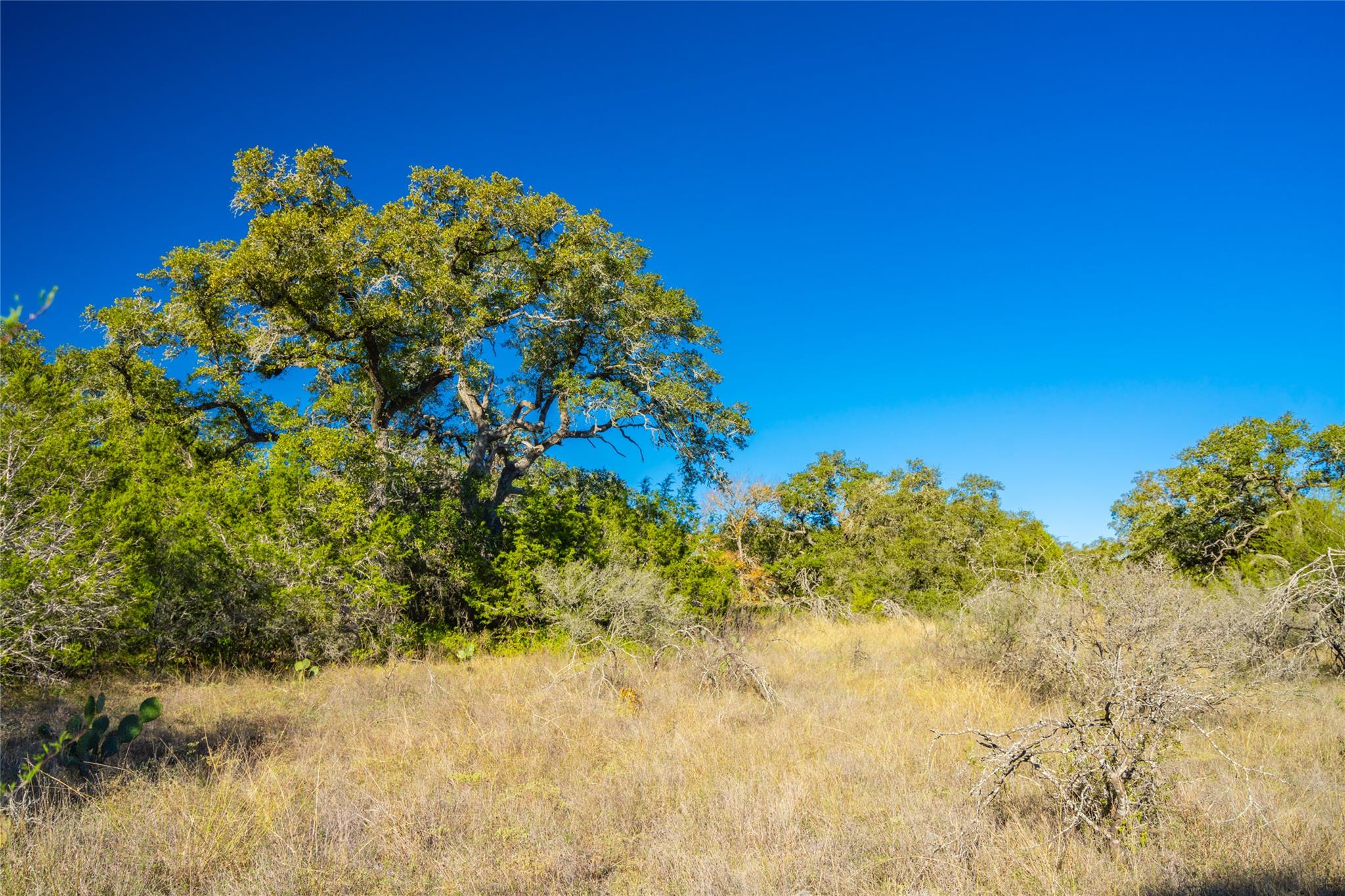 00 Quail Run Dr, San Marcos, TX 78666