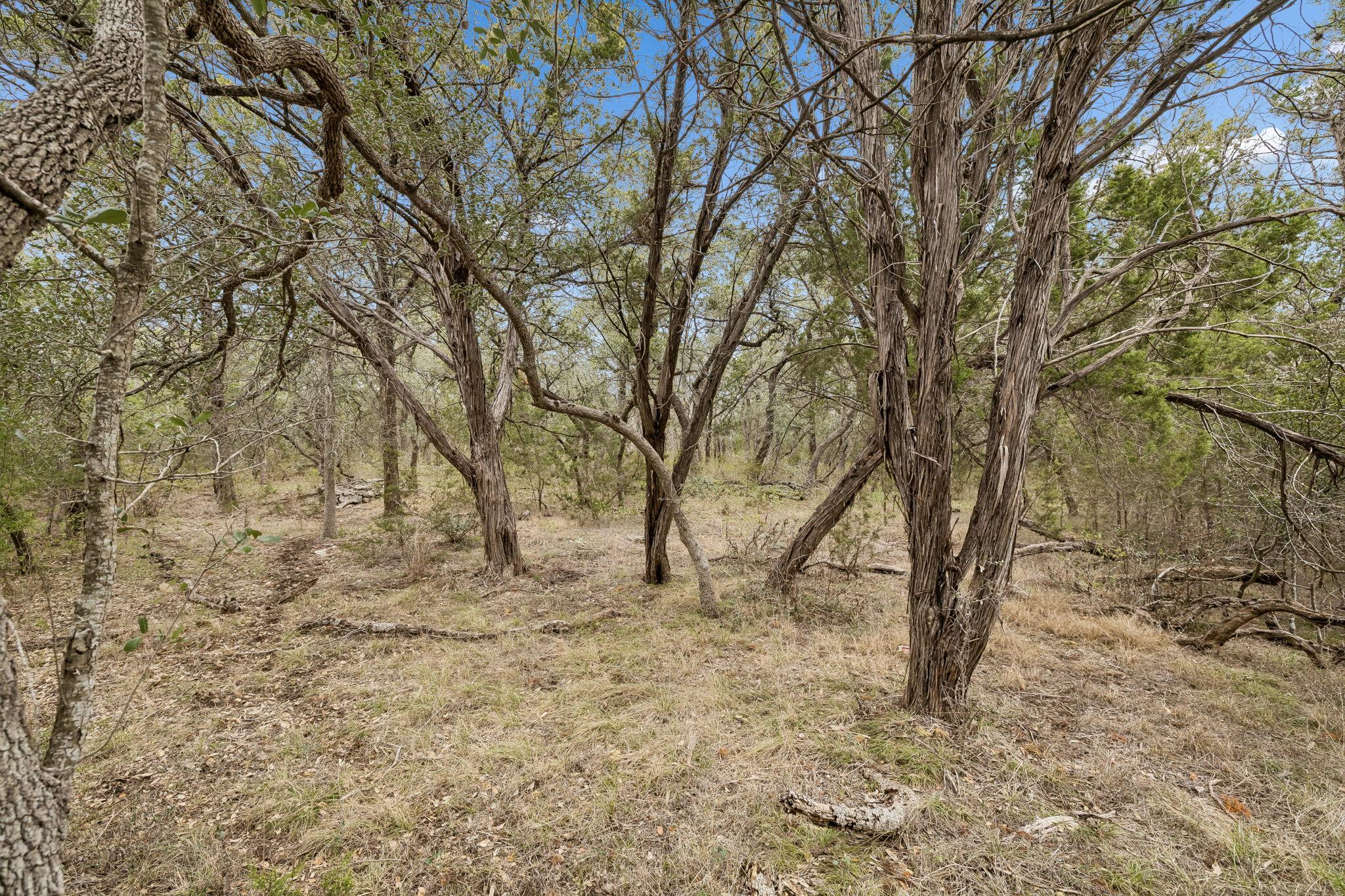 1398 Lazy Forest Frst, New Braunfels, TX 78132