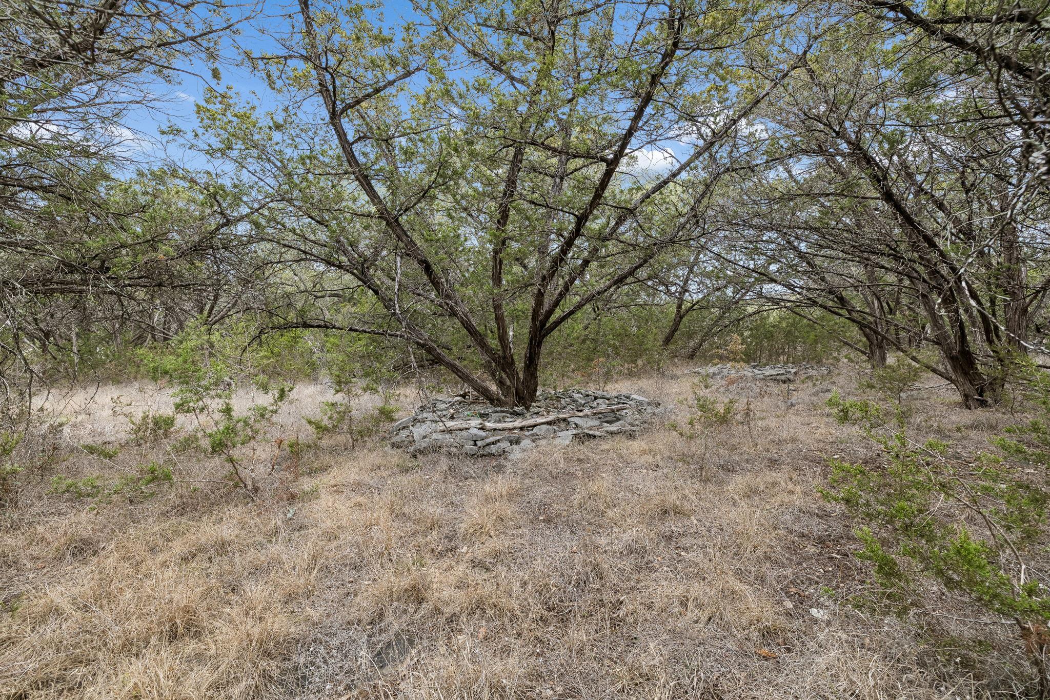 1398 Lazy Forest Frst, New Braunfels, TX 78132