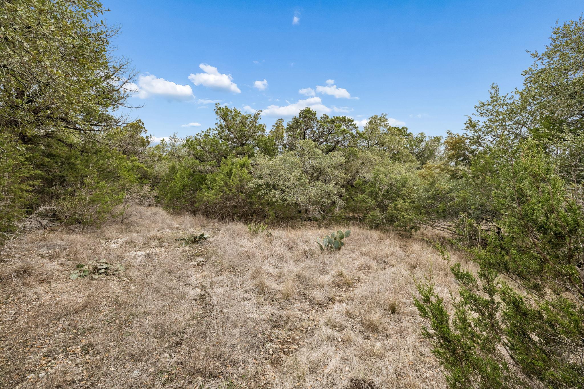 1398 Lazy Forest Frst, New Braunfels, TX 78132