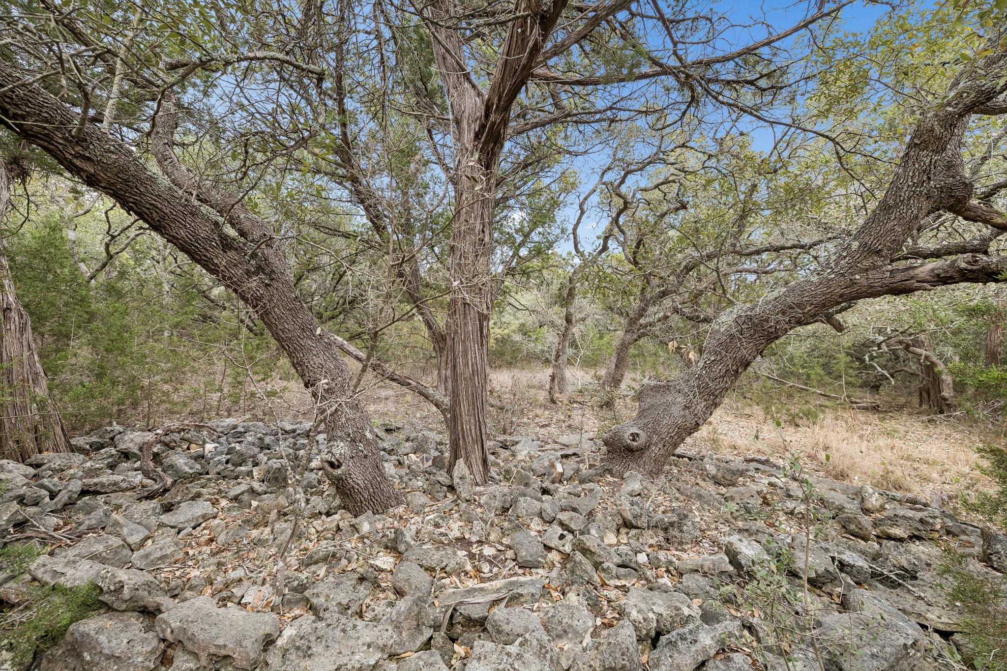 1398 Lazy Forest Frst, New Braunfels, TX 78132