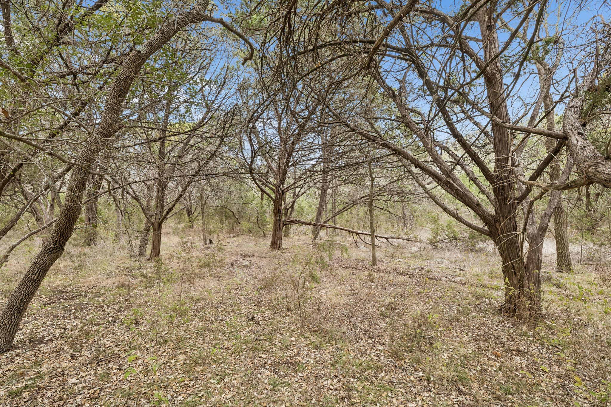 1398 Lazy Forest Frst, New Braunfels, TX 78132