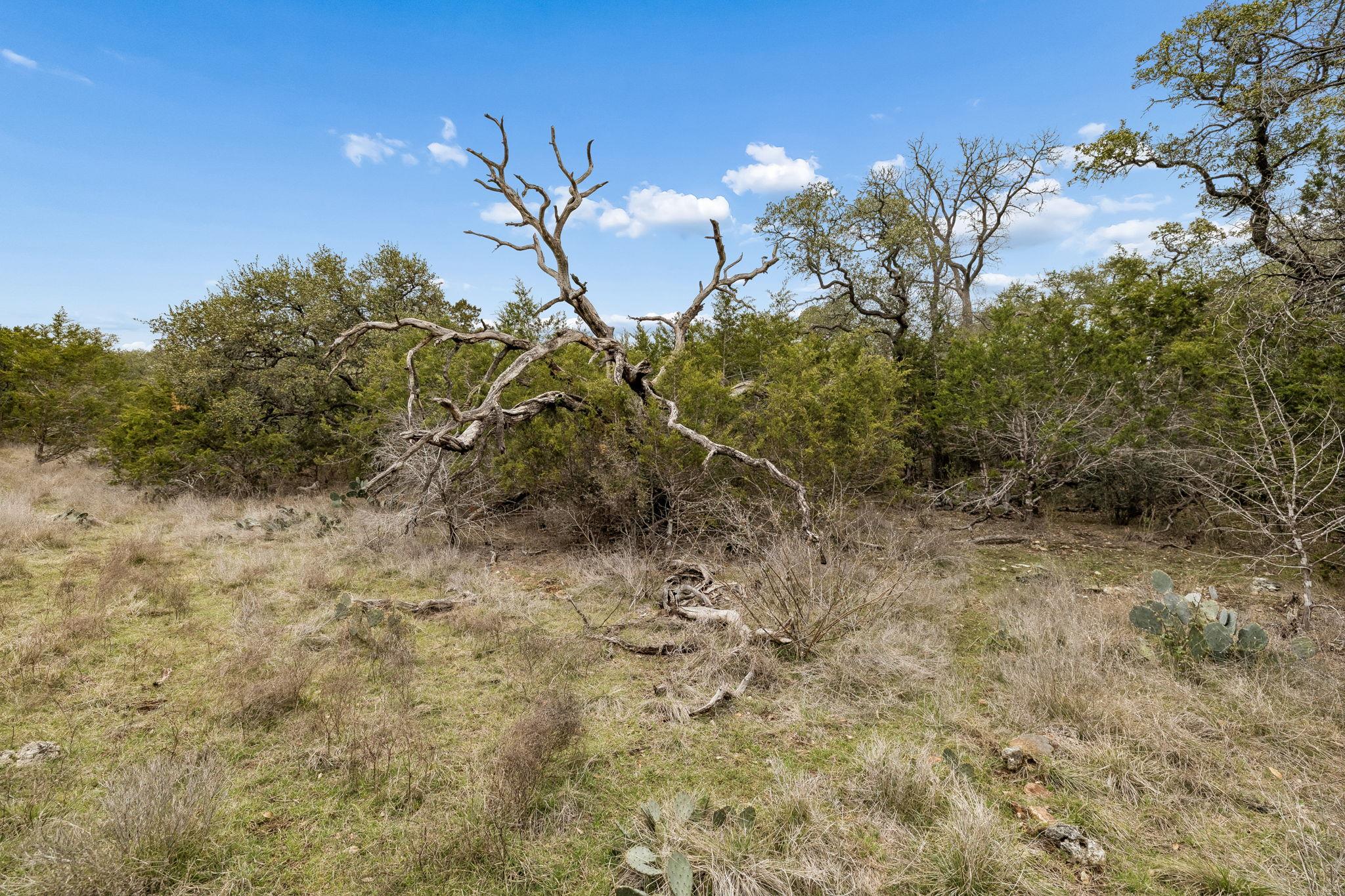 1398 Lazy Forest Frst, New Braunfels, TX 78132