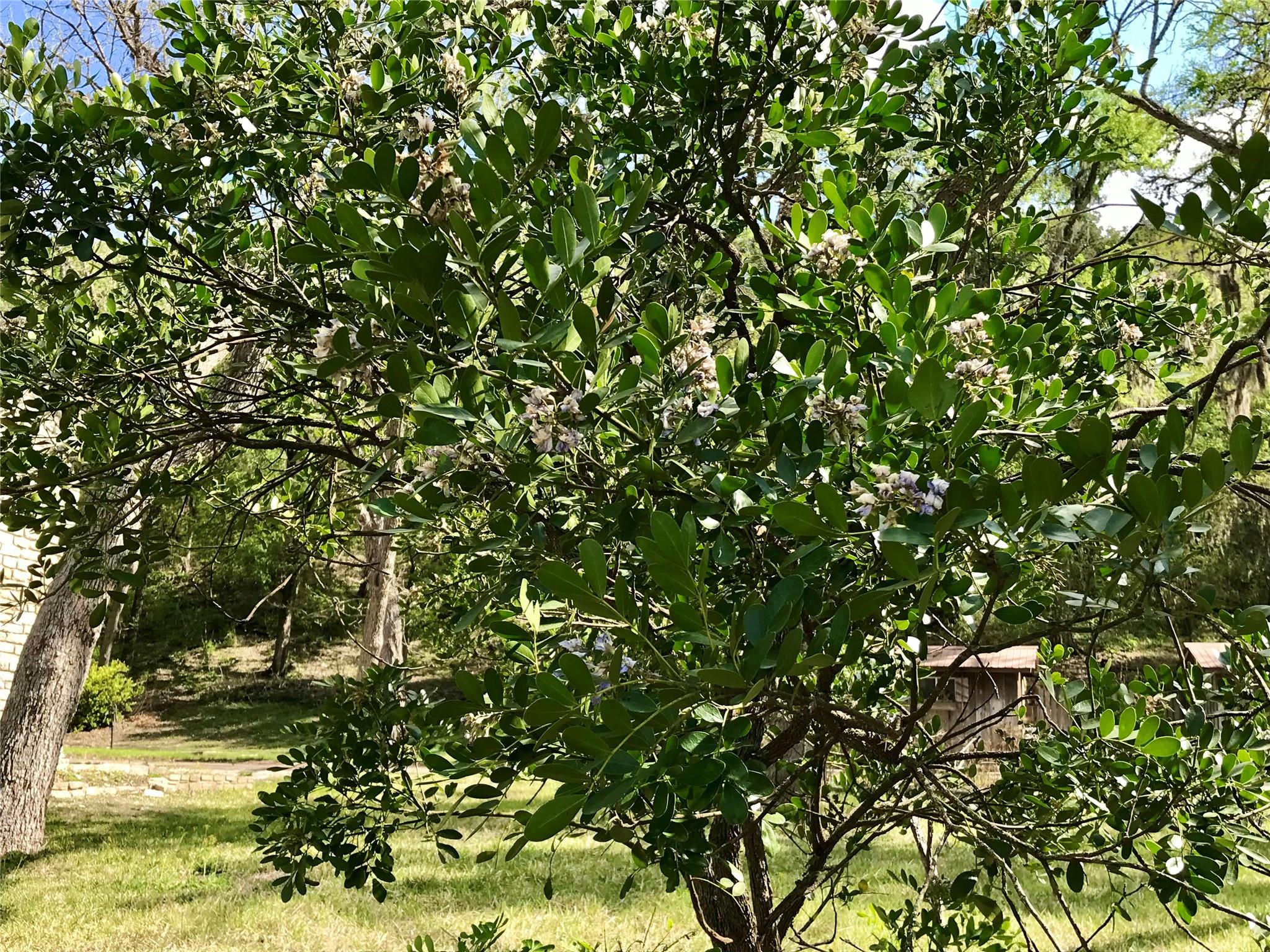 1113 Hidden Valley Rd, Wimberley, TX 78676