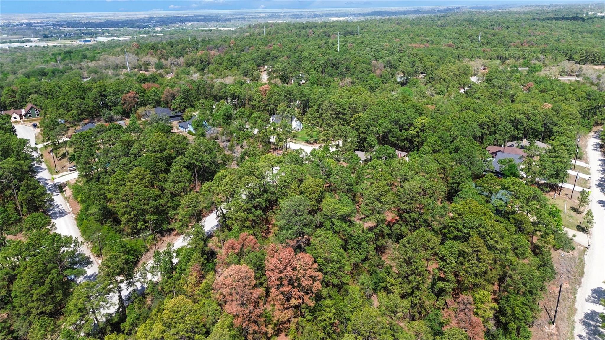 141 Kamaiki Dr, Bastrop, TX 78602