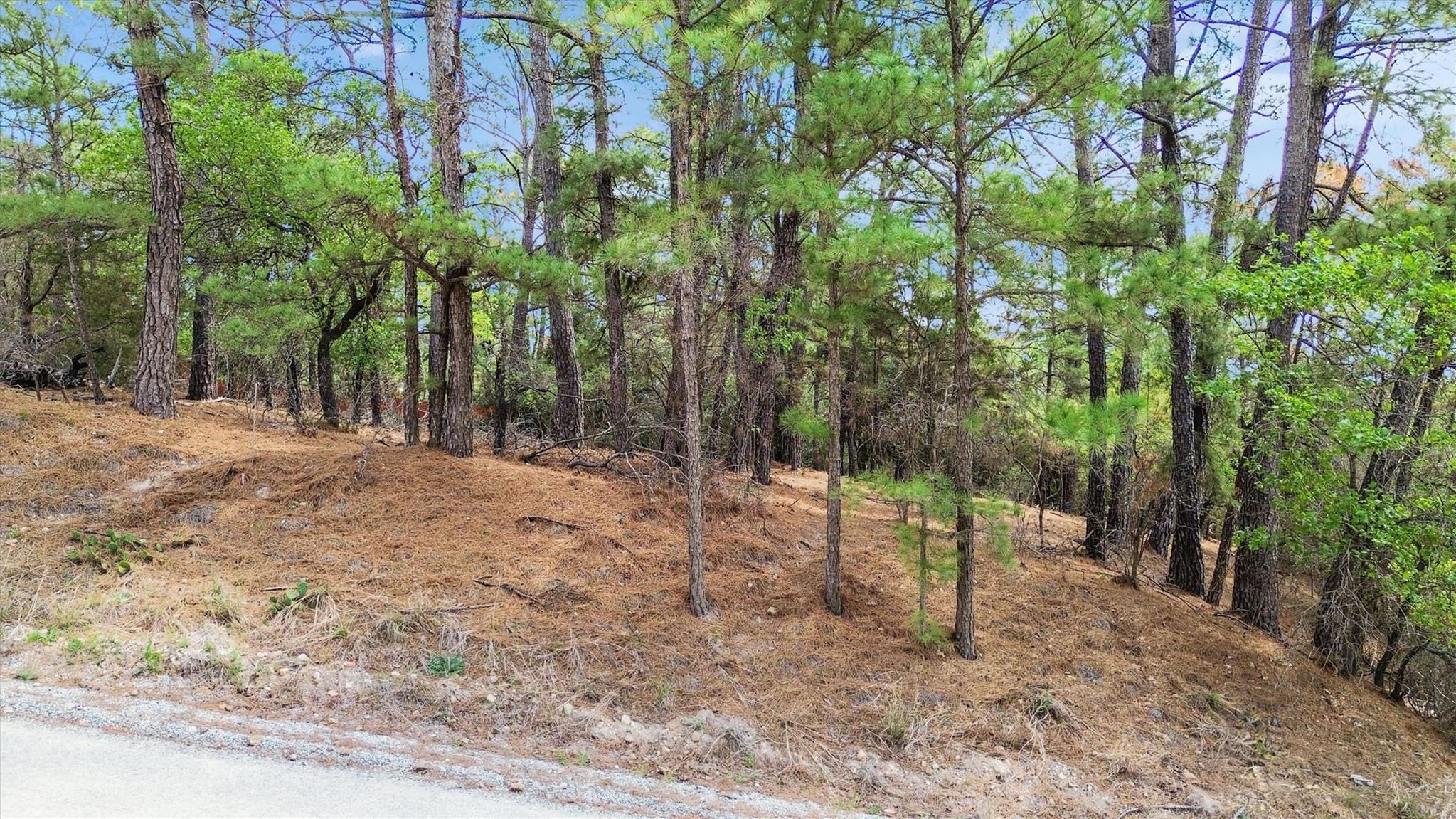 141 Kamaiki Dr, Bastrop, TX 78602