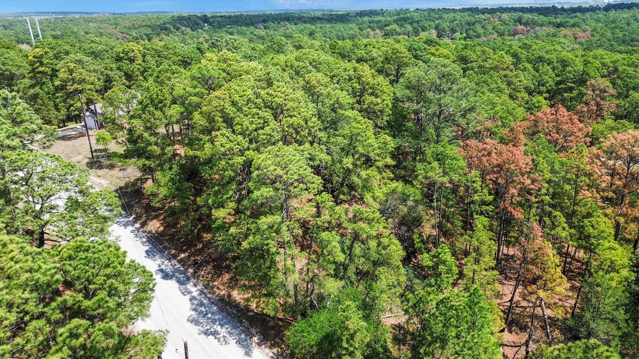 141 Kamaiki Dr, Bastrop, TX 78602