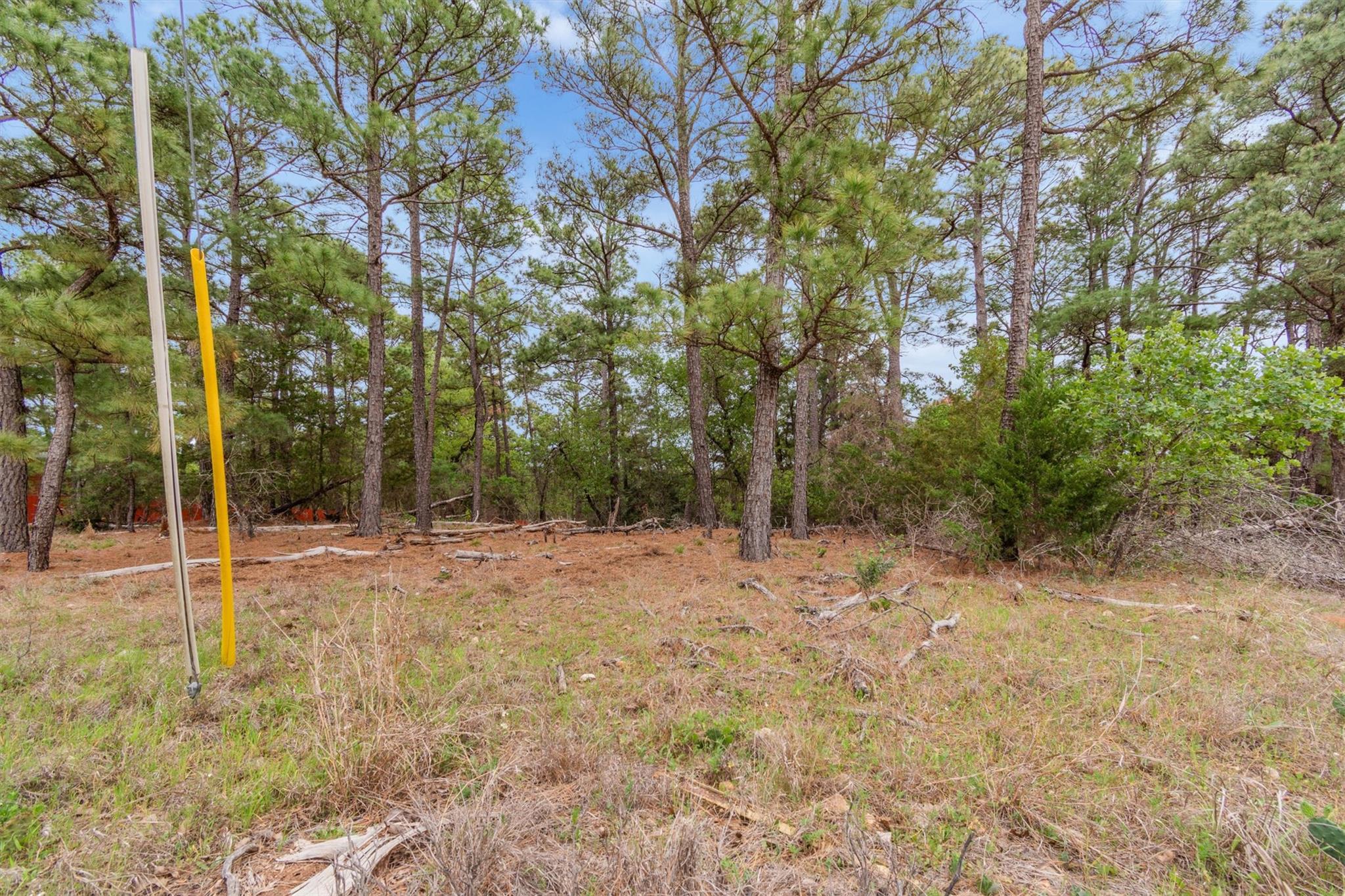 141 Kamaiki Dr, Bastrop, TX 78602