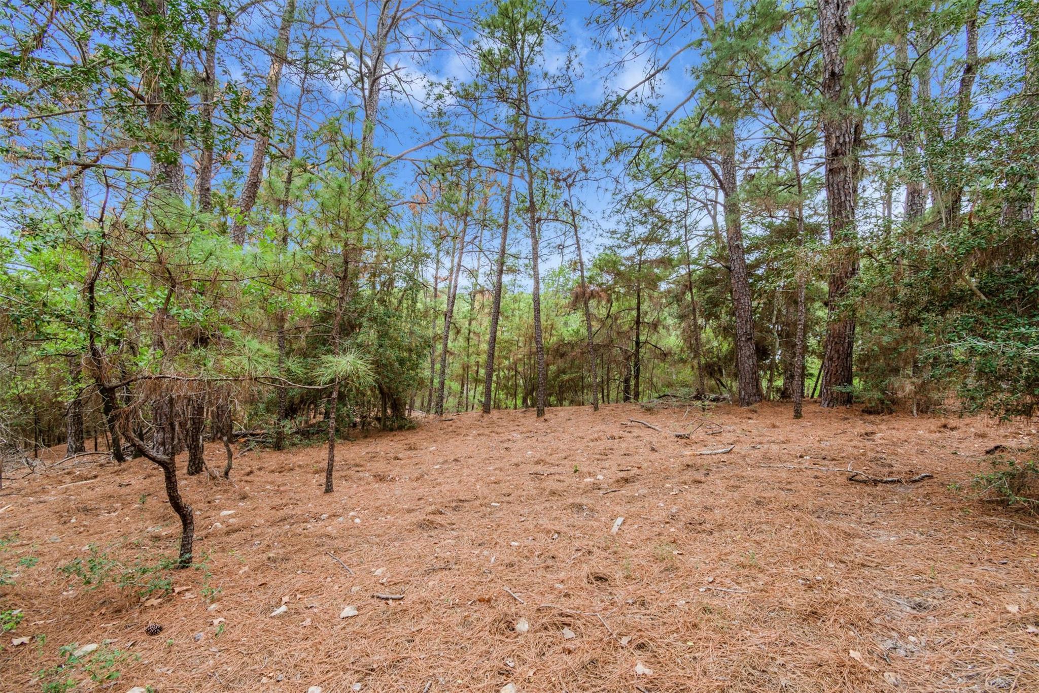 141 Kamaiki Dr, Bastrop, TX 78602