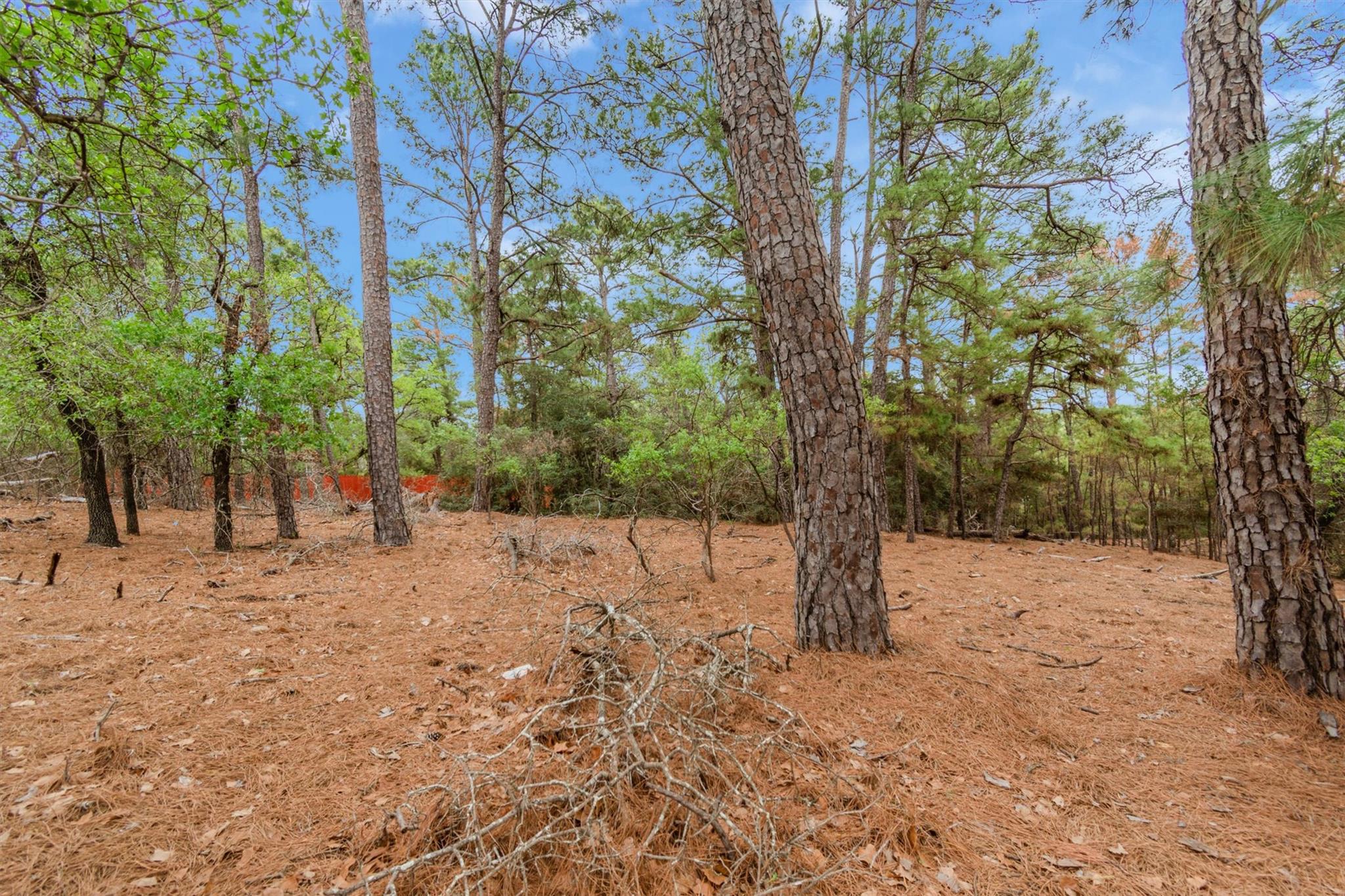 141 Kamaiki Dr, Bastrop, TX 78602