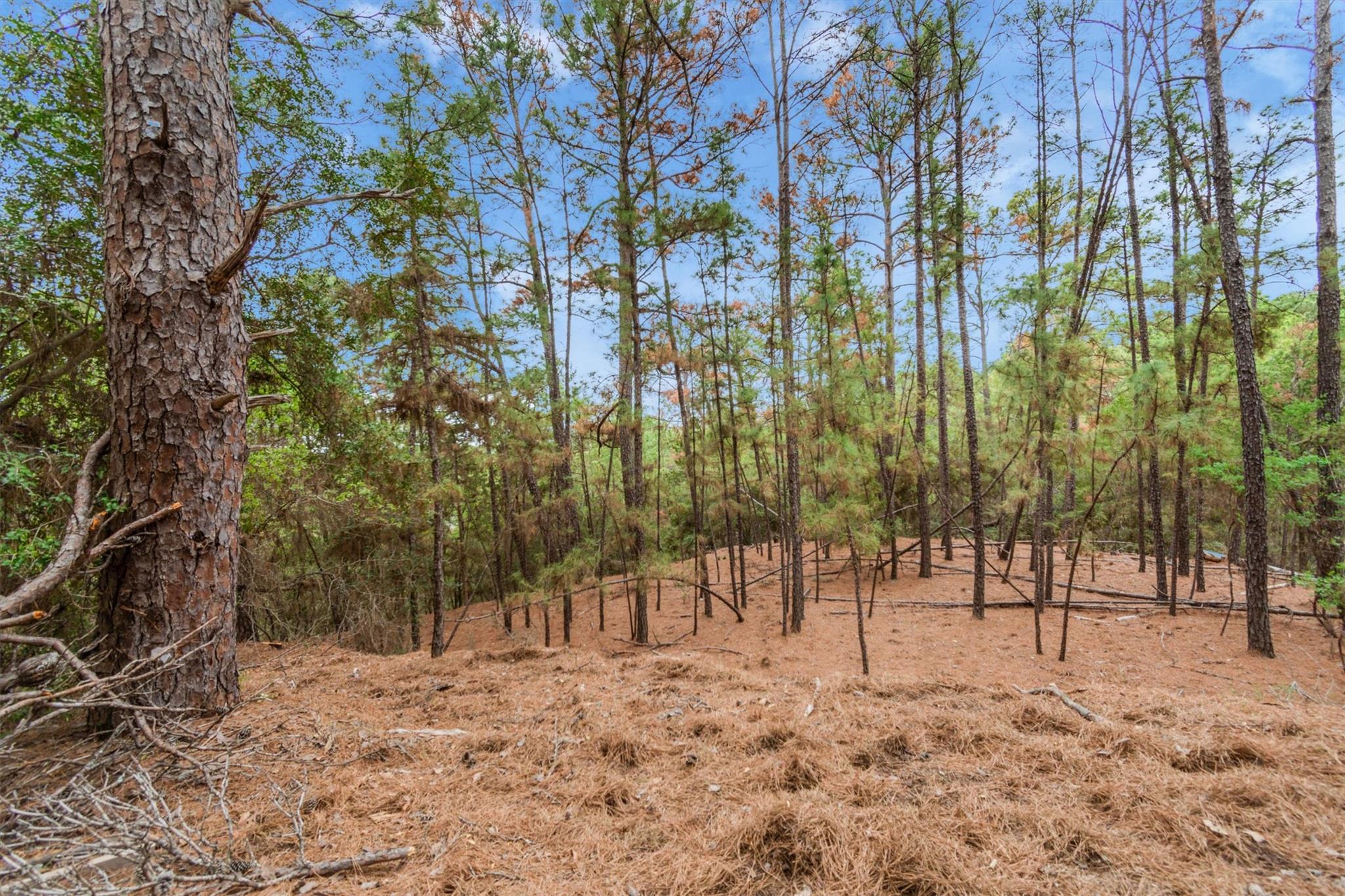 141 Kamaiki Dr, Bastrop, TX 78602