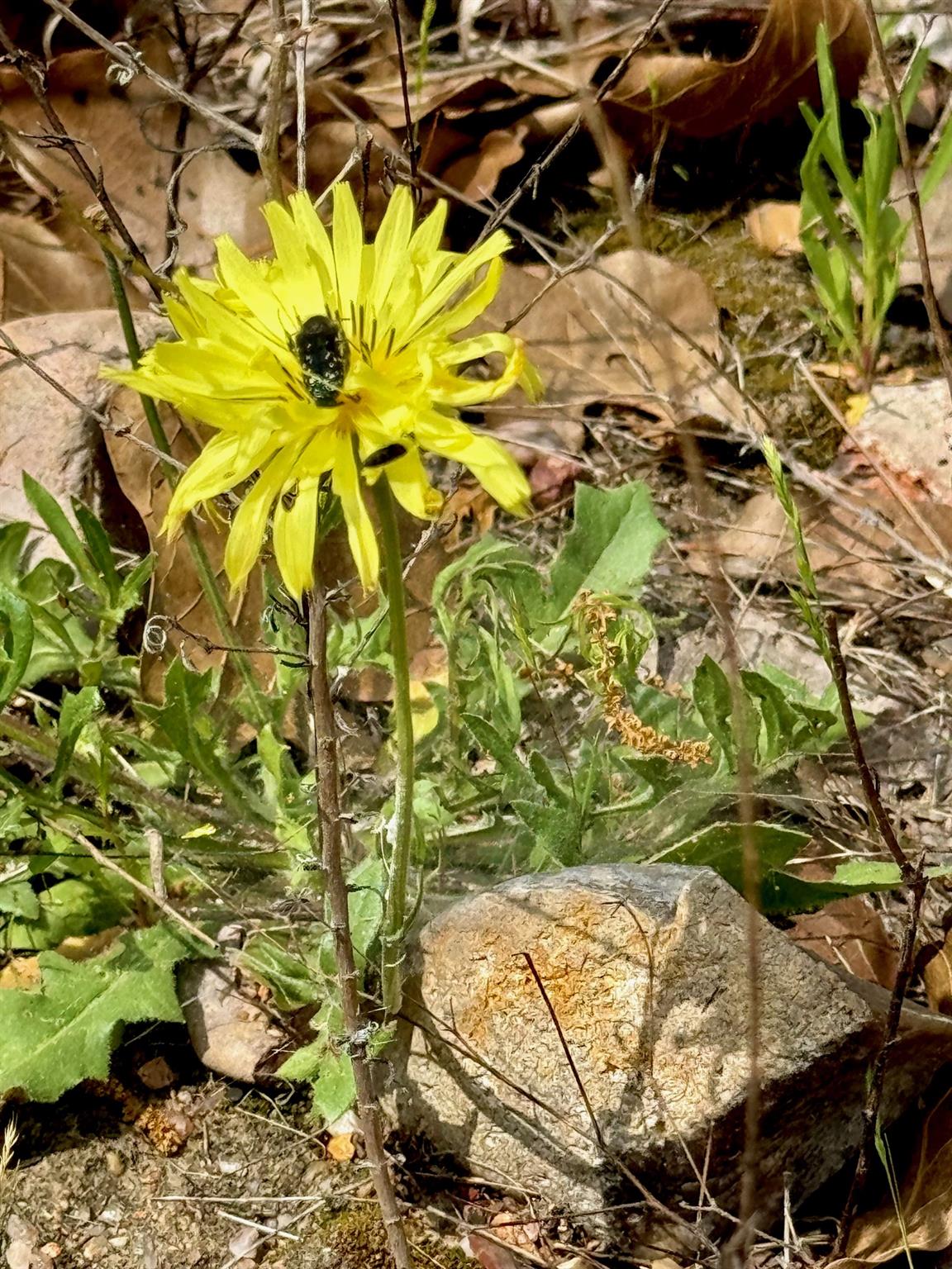 TBD Hudson Rd, Smithville, TX 78957