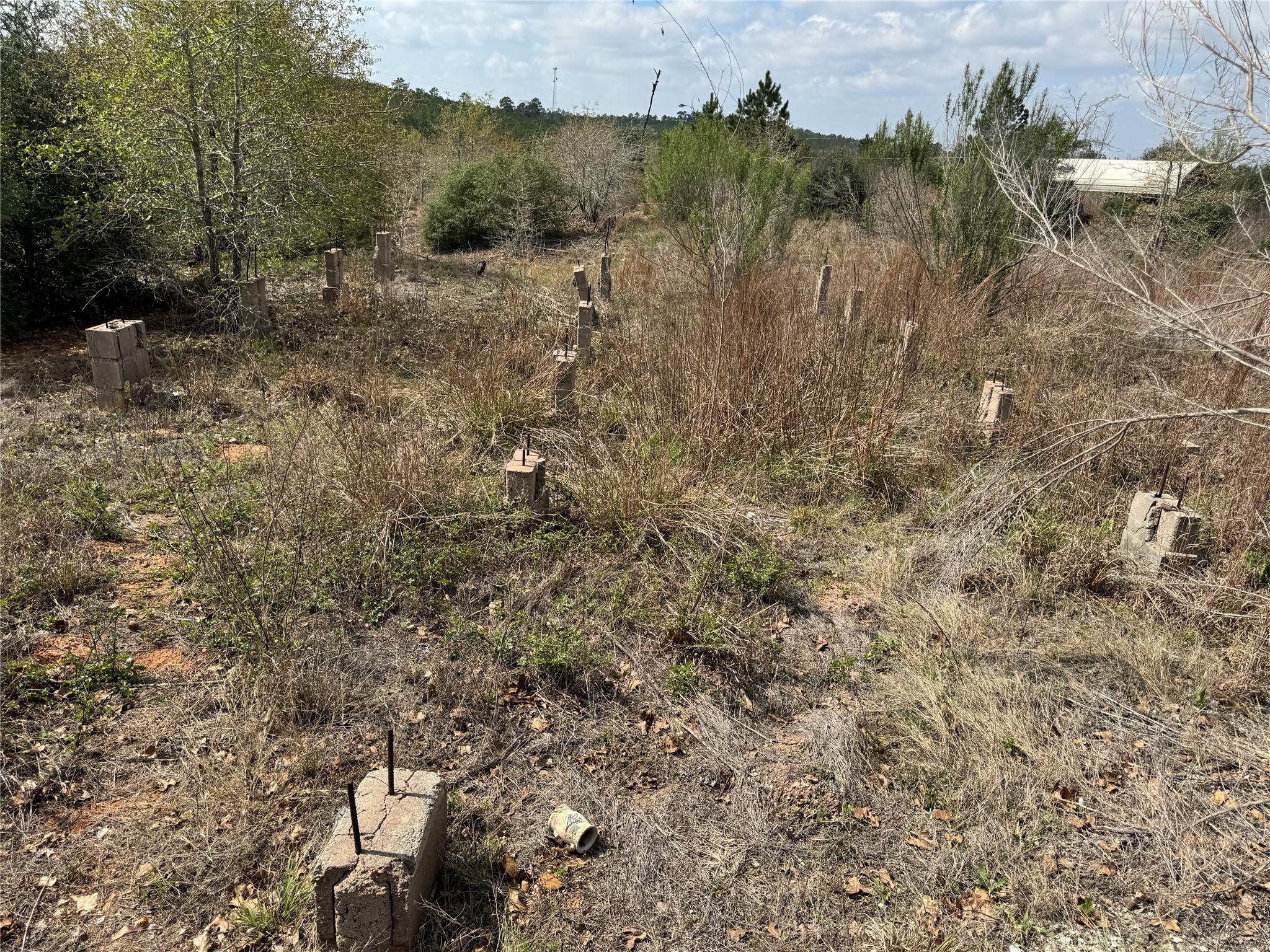 TBD Hudson Rd, Smithville, TX 78957