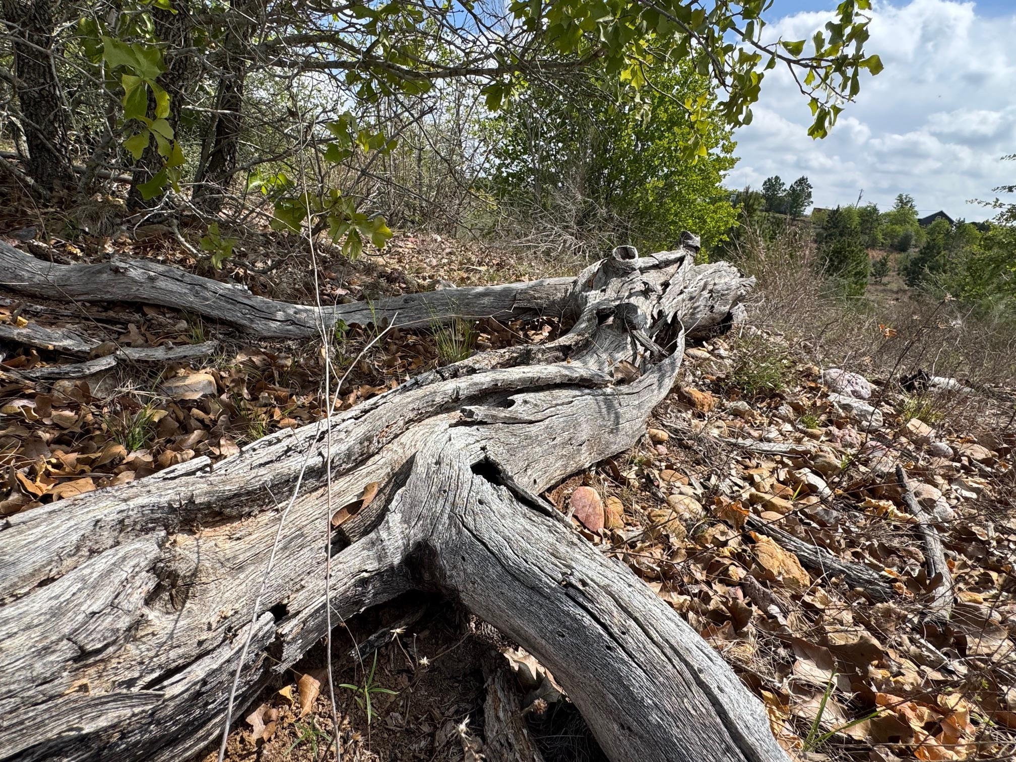 TBD Hudson Rd, Smithville, TX 78957