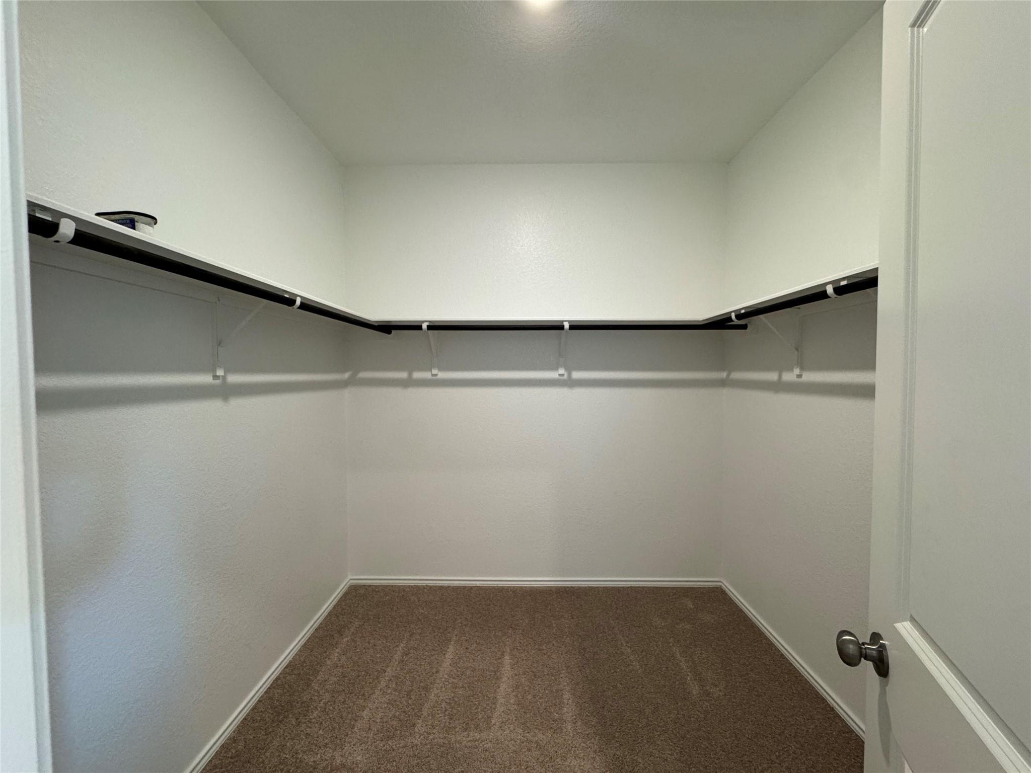 203 Tufted Duck Path, Kyle, TX 78640