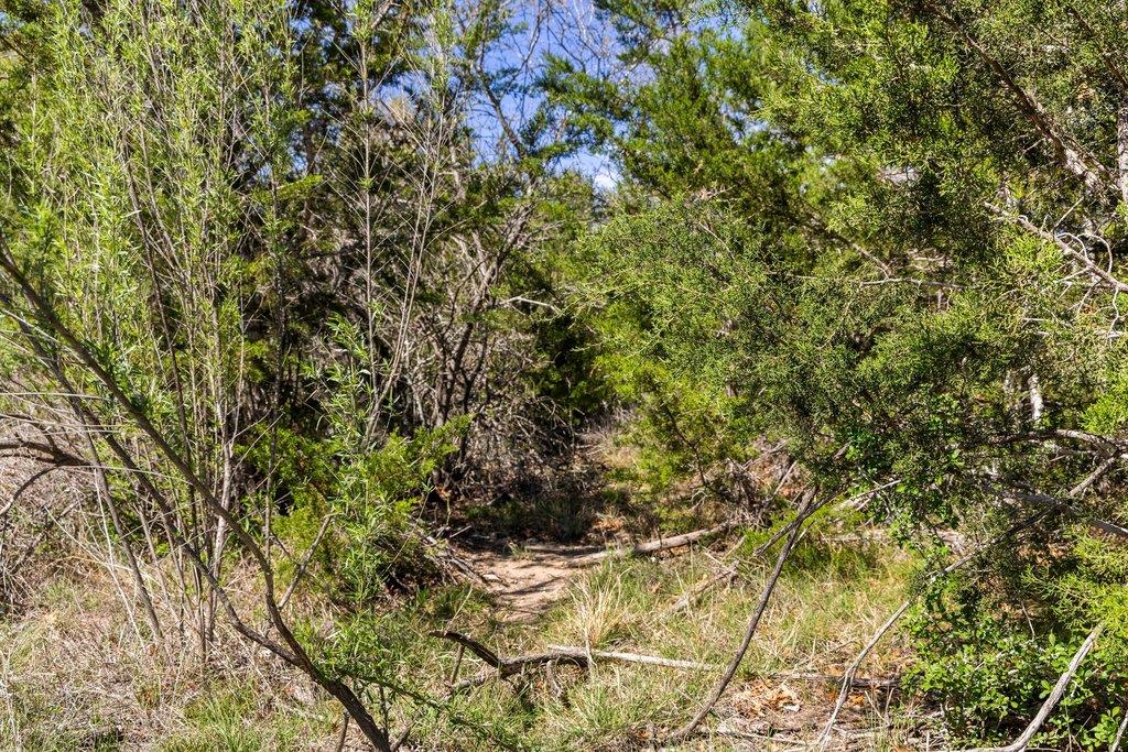 Lot 19 Stone Ridge Mountain Dr, Round Mountain, TX 78663