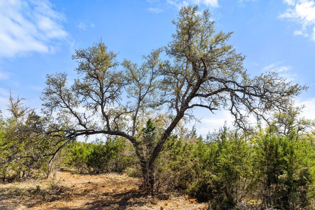 Lot 19 Stone Ridge Mountain Dr, Round Mountain, TX 78663