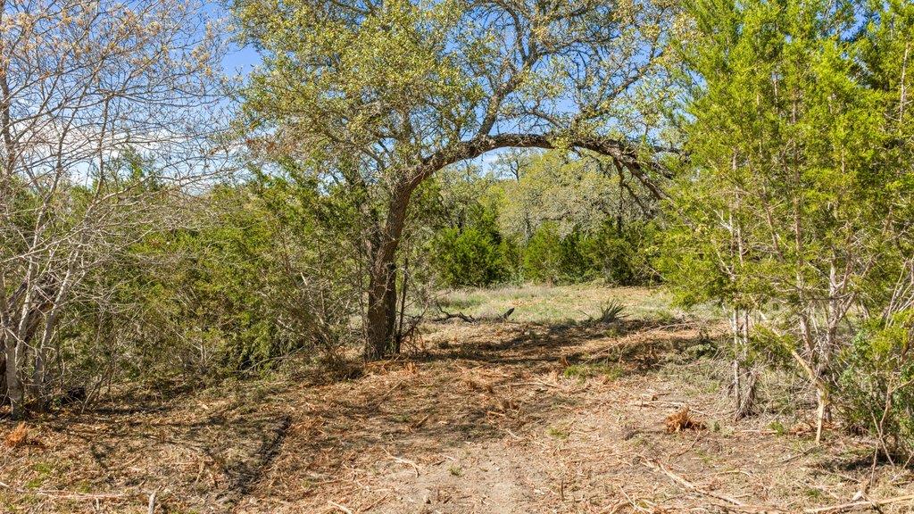 Lot 19 Stone Ridge Mountain Dr, Round Mountain, TX 78663