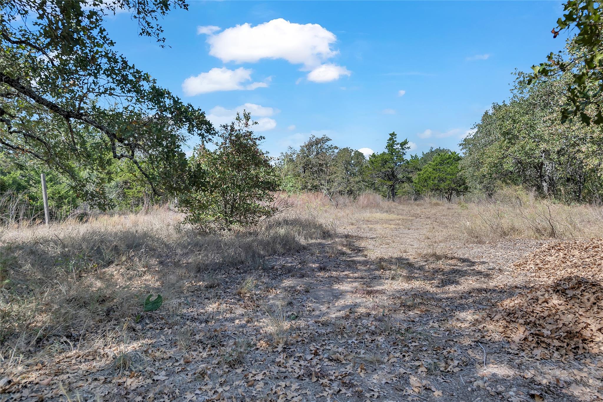 320 Pope Bnd S, Cedar Creek, TX 78612