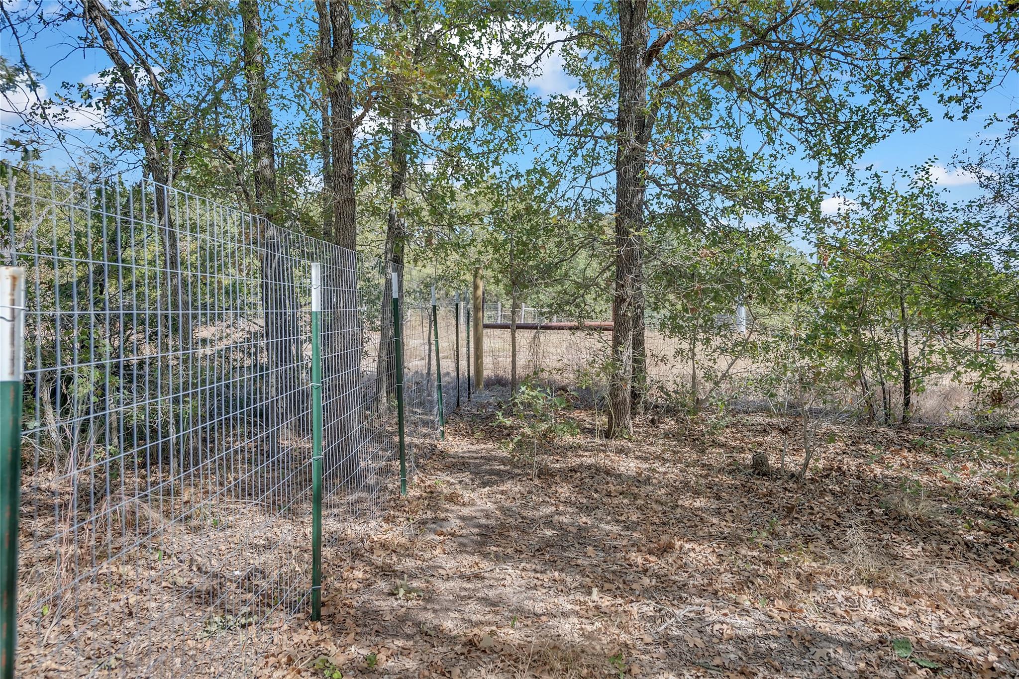 320 Pope Bnd S, Cedar Creek, TX 78612