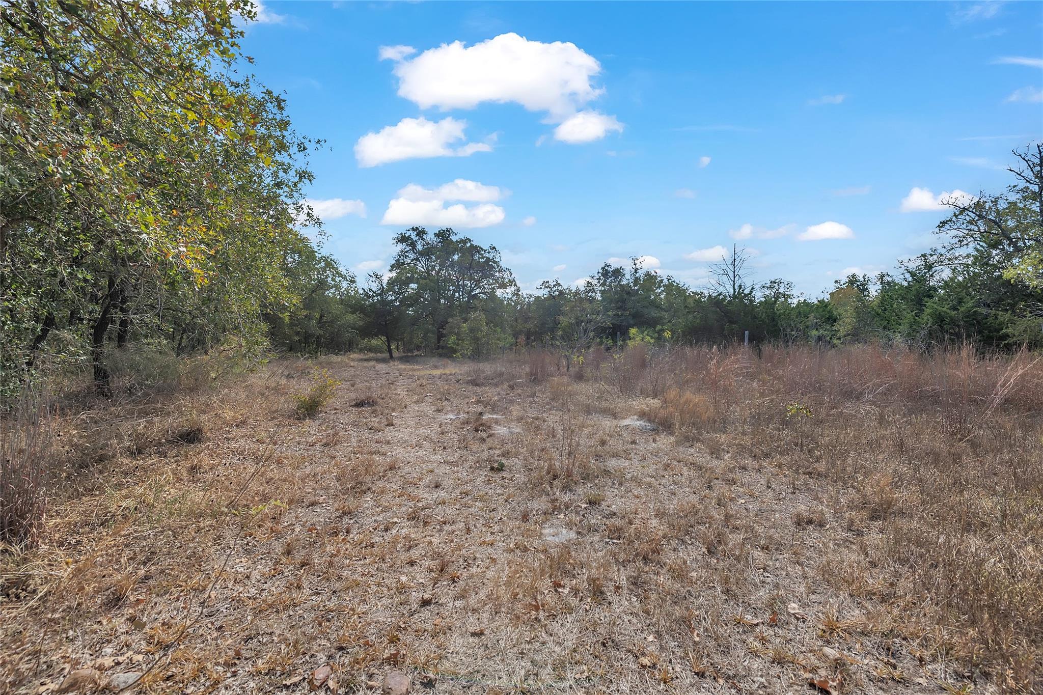 320 Pope Bnd S, Cedar Creek, TX 78612