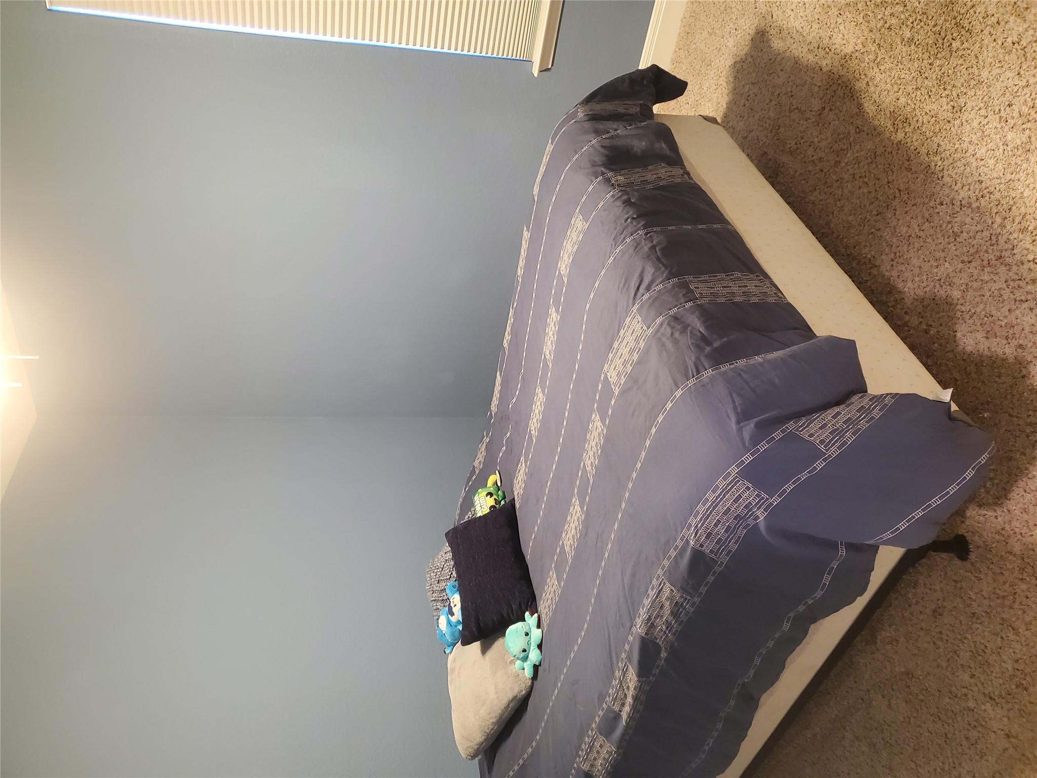 313 Los Cobos Ln, Georgetown, TX 78626