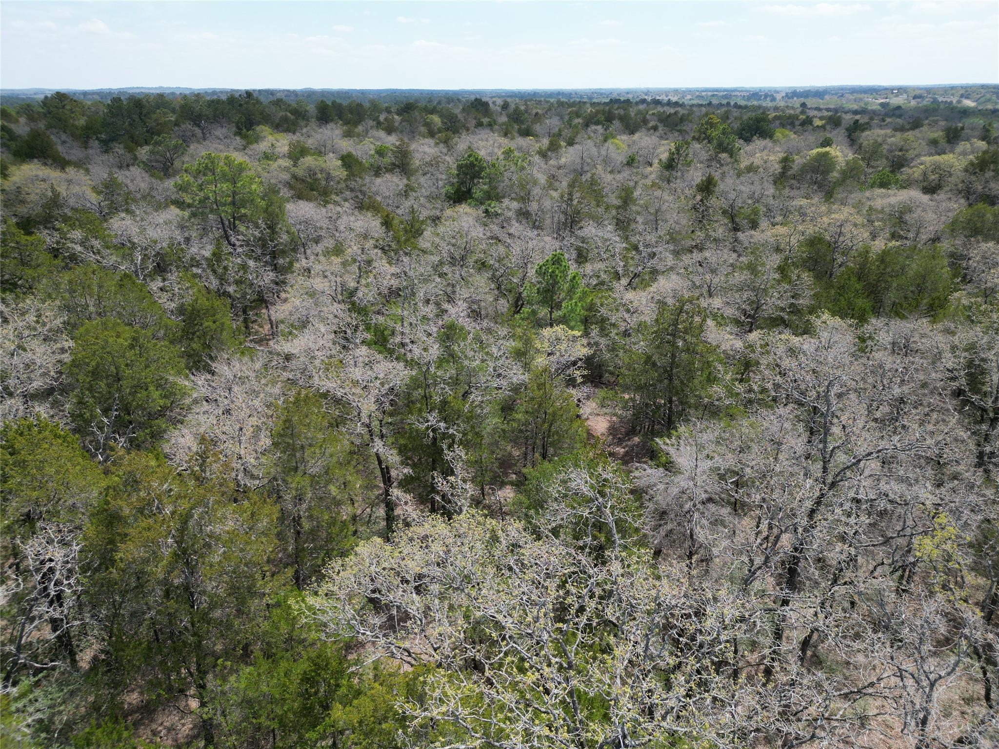 797 Marlin St, McDade, TX 78650