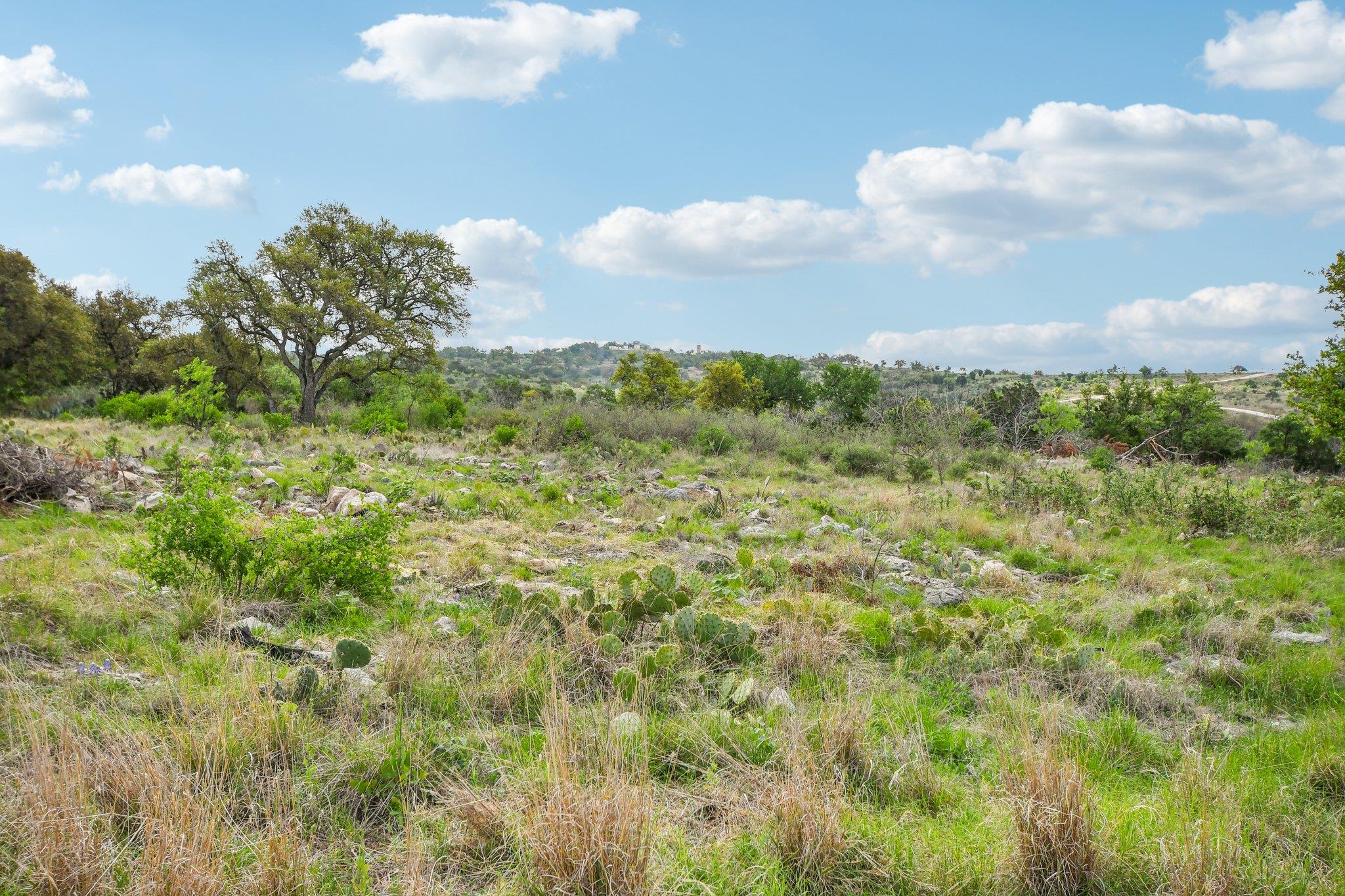 350 Big Creek Dr, Kingsland, TX 78639