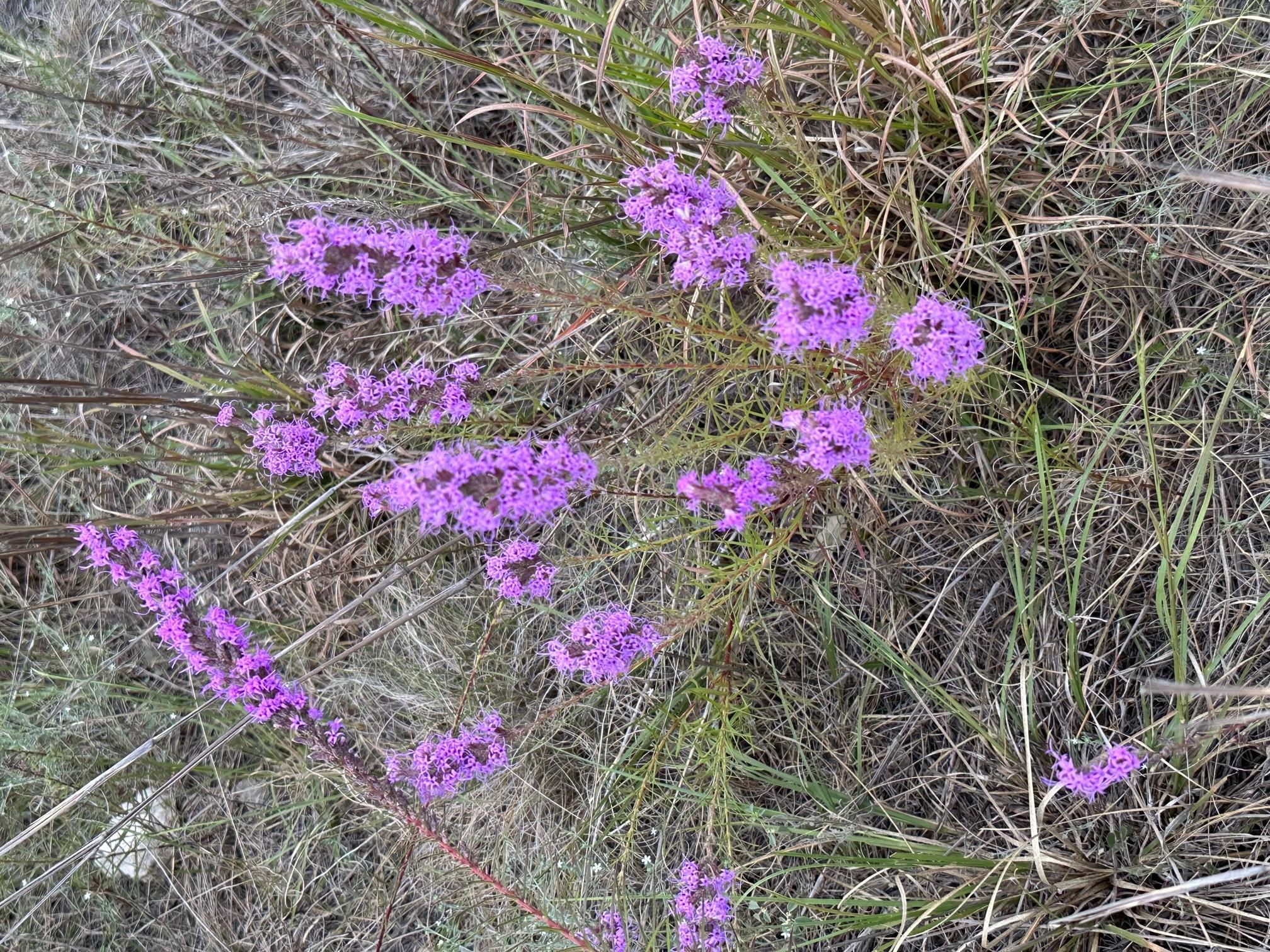 284 Cedar Mountain Dr, Spicewood, TX 78654