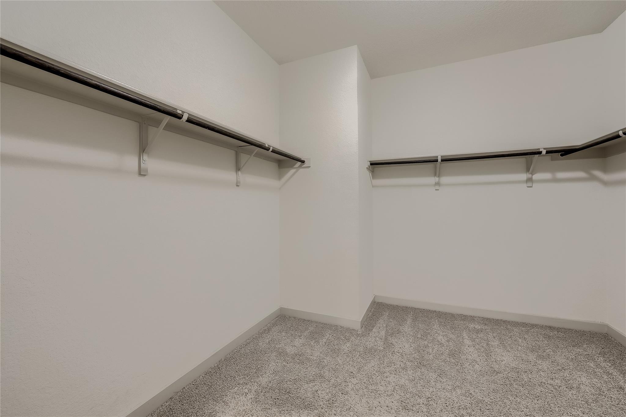 153 Filifera Ct, Leander, TX 78641