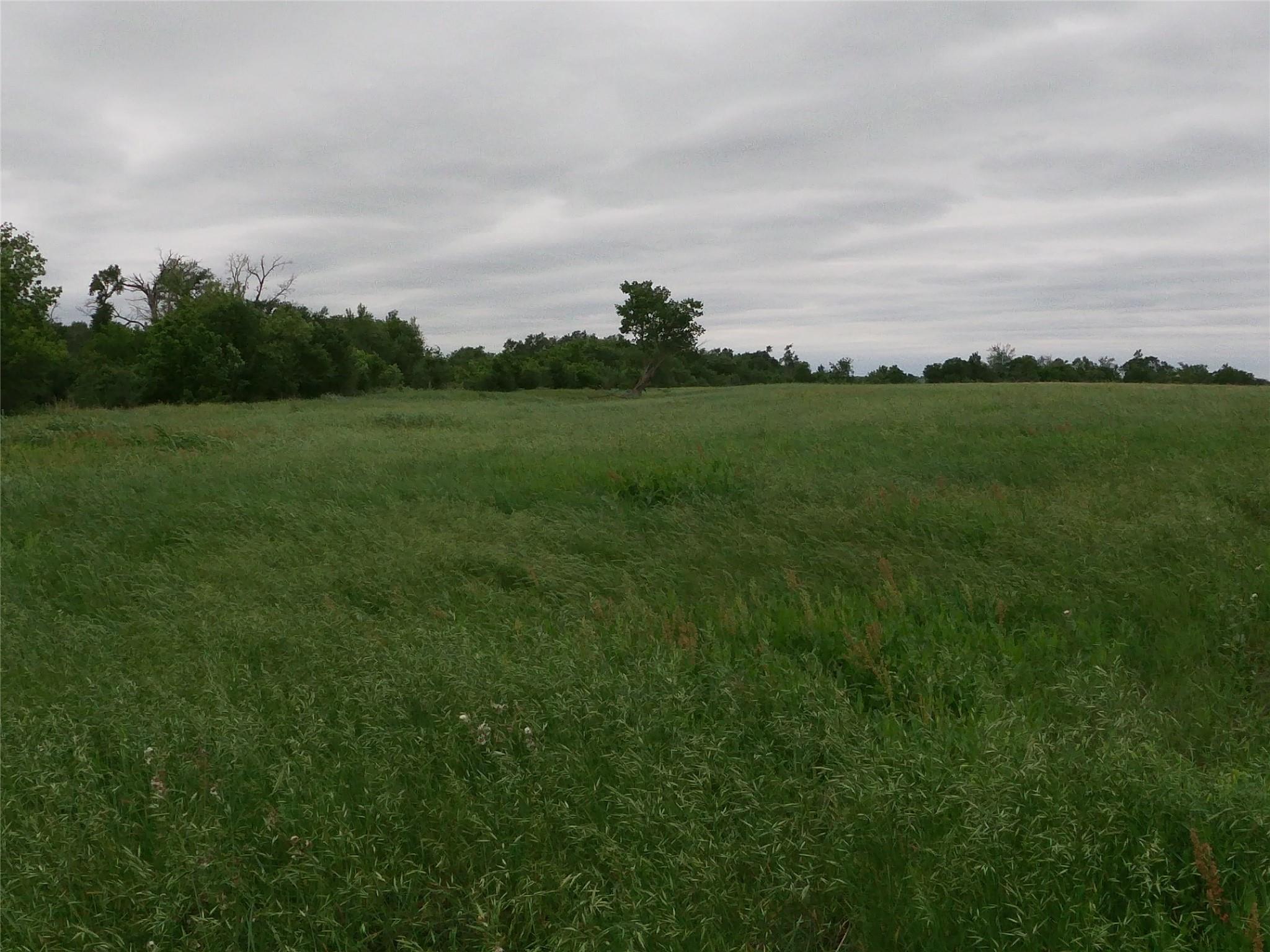 0000 FM 112 Rd, Thrall, TX 76578