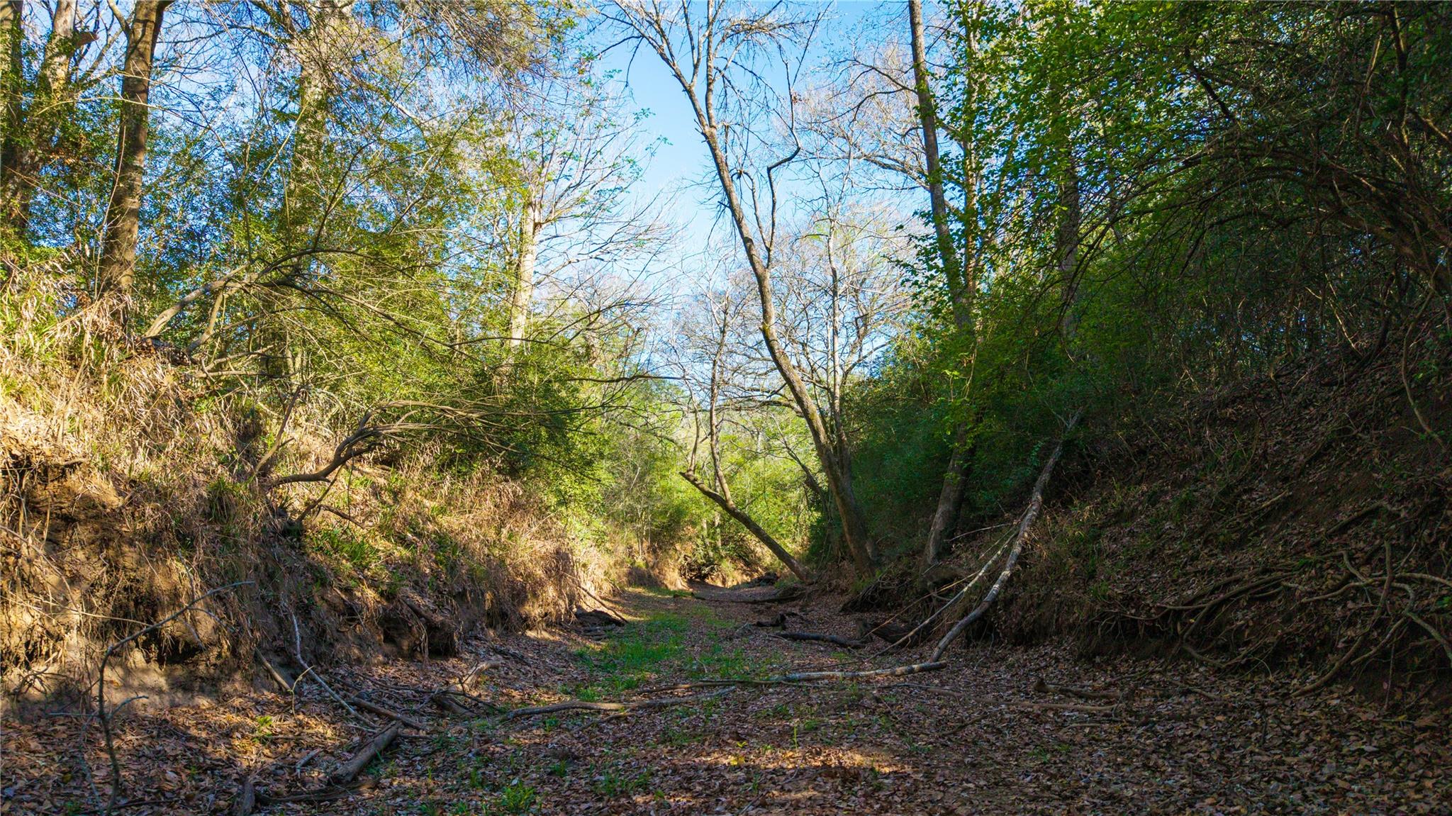 1700 County Road 216, Giddings, TX 78942