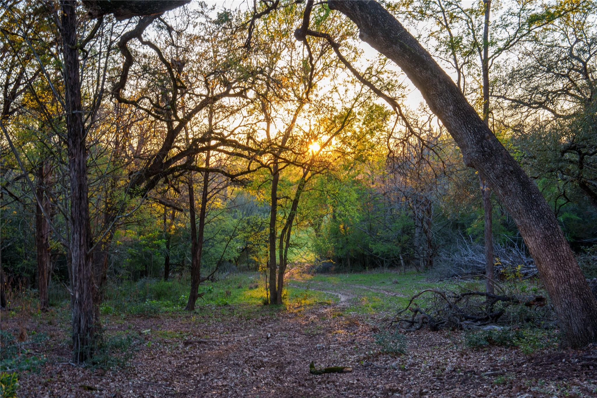 1700 County Road 216, Giddings, TX 78942