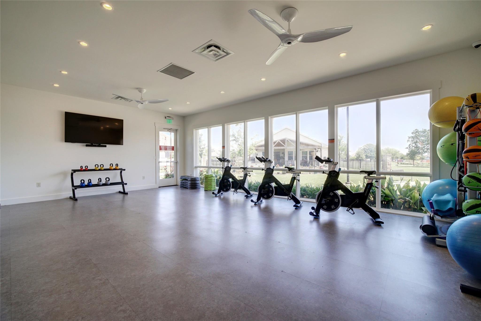 205 Banyon Dr, Liberty Hill, TX 78642