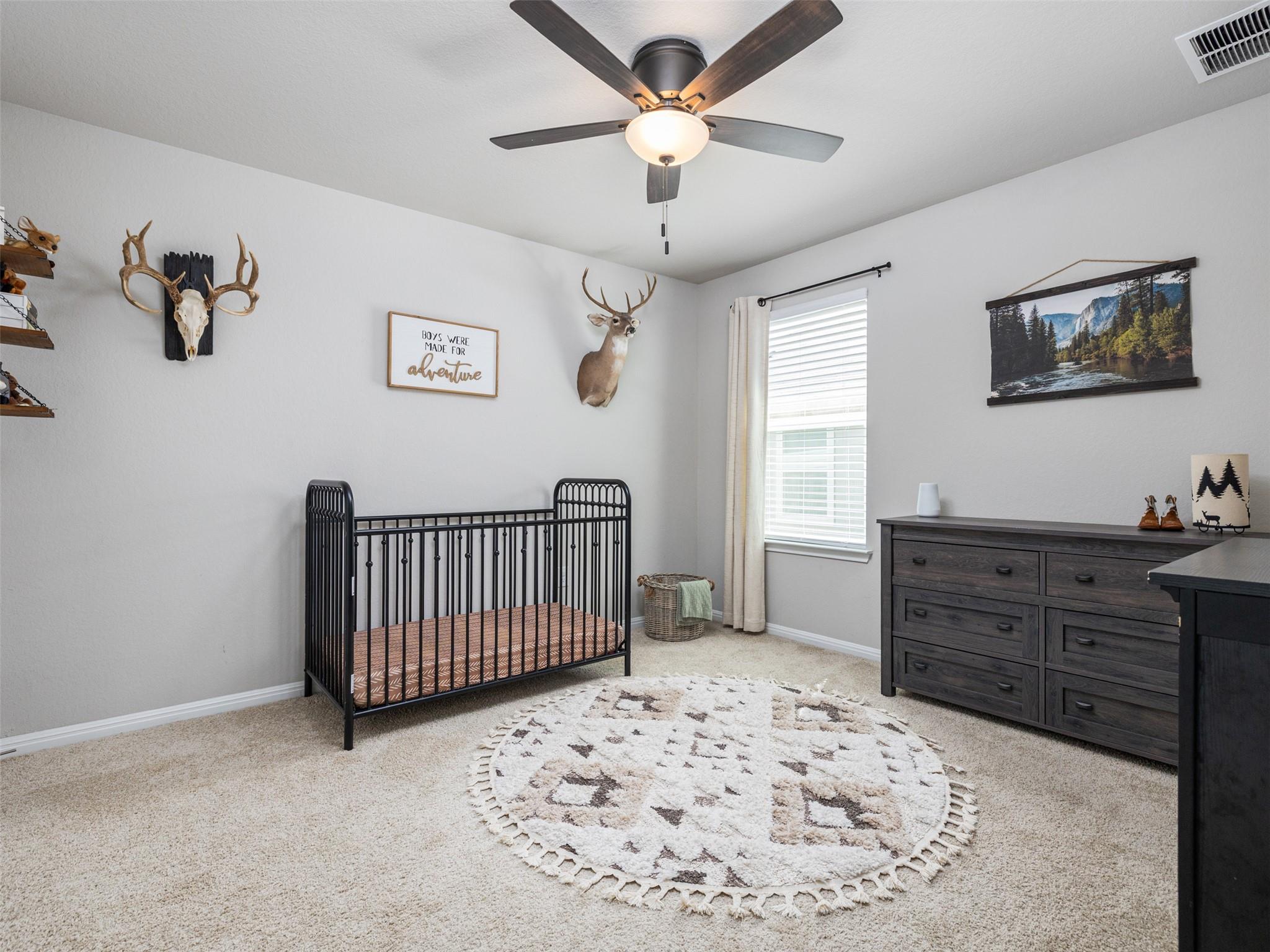 201 Bunting Ln, Bertram, TX 78605