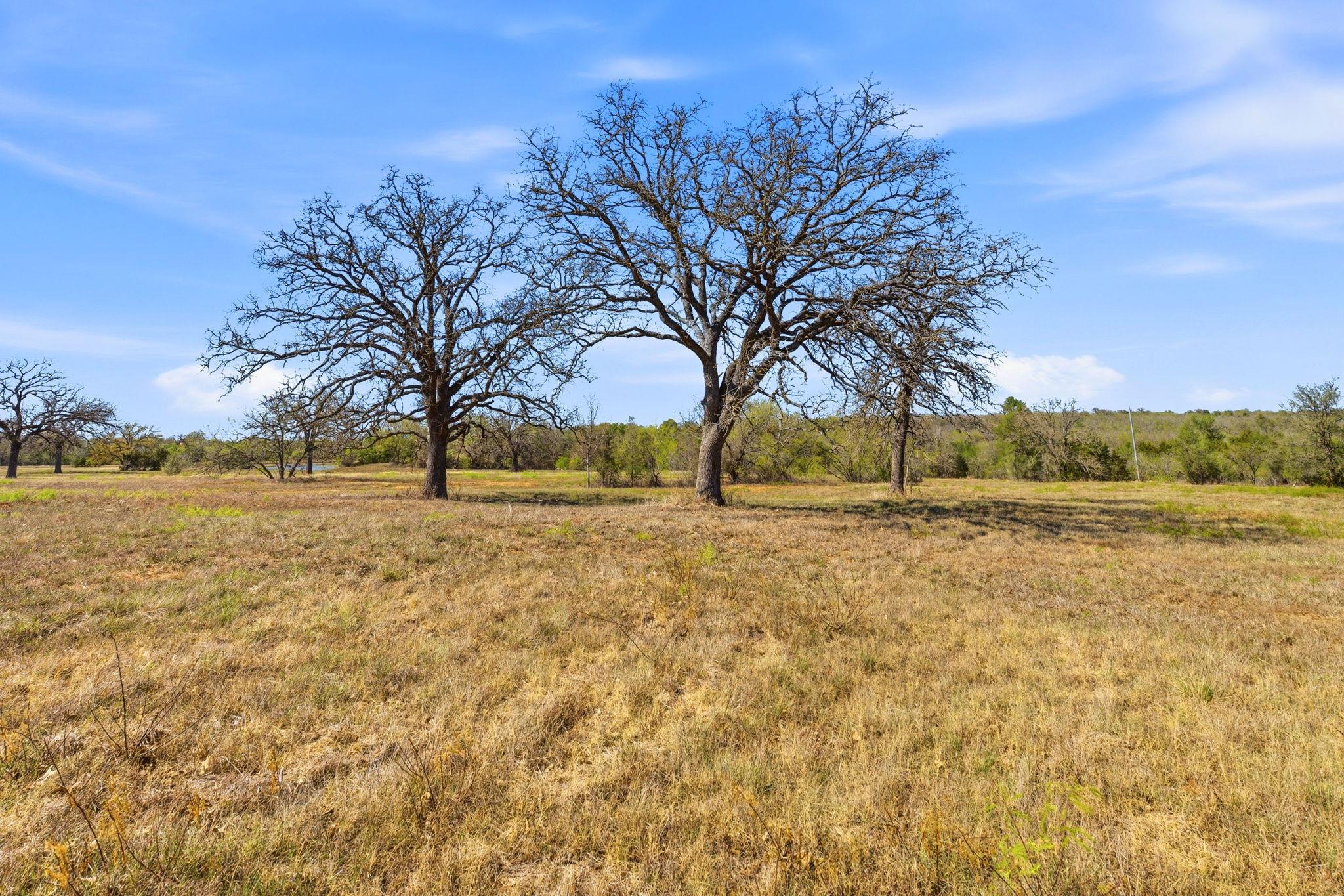 TBD New Moon Ct, Red Rock, TX 78662