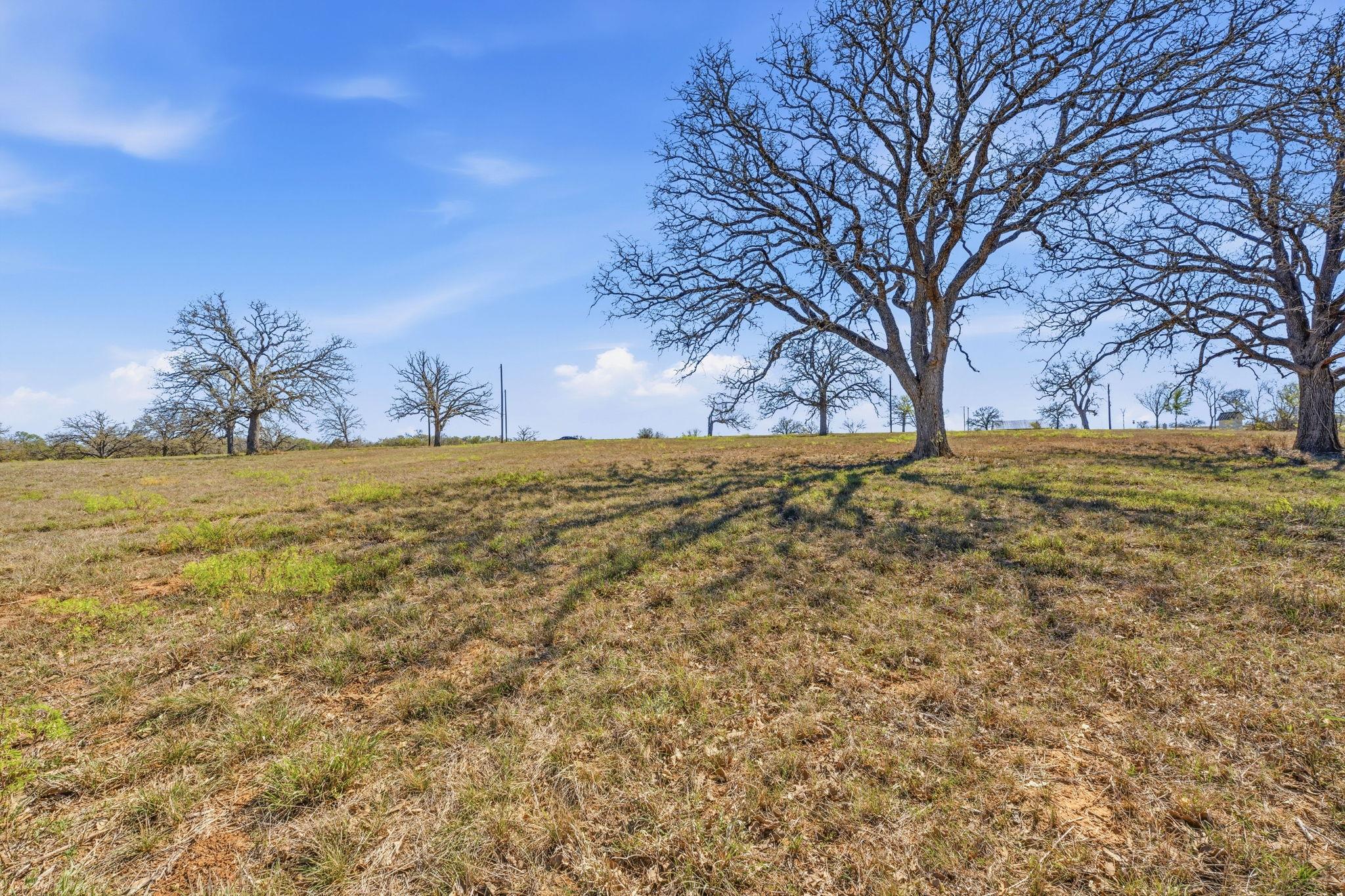 TBD New Moon Ct, Red Rock, TX 78662