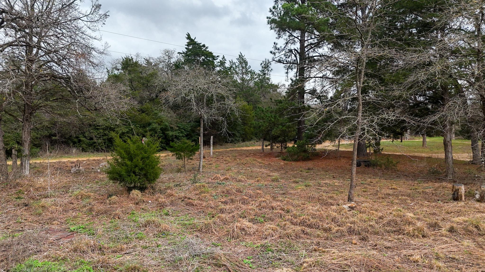 313 Dogwood Dr, Caldwell, TX 77836