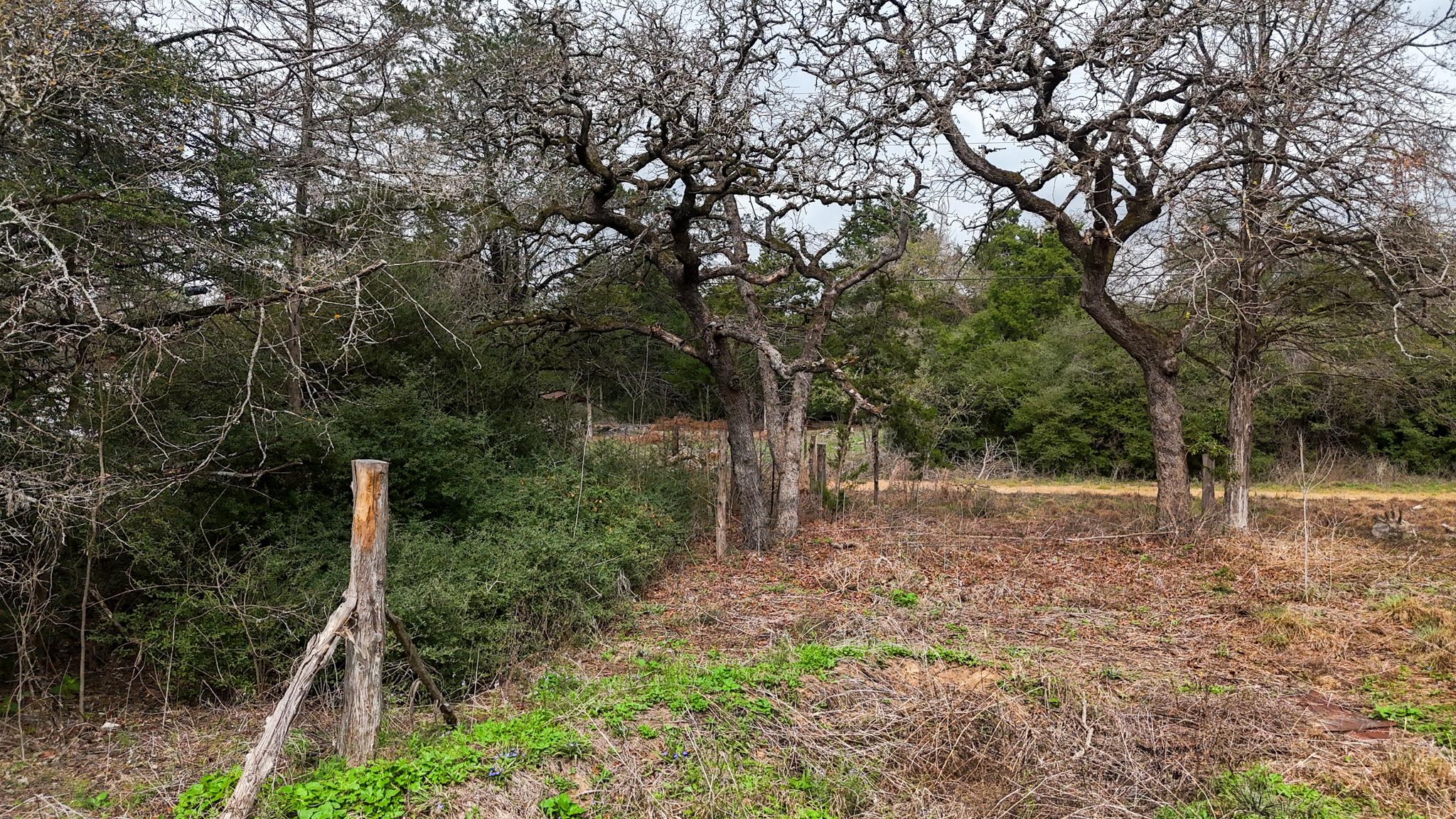 313 Dogwood Dr, Caldwell, TX 77836