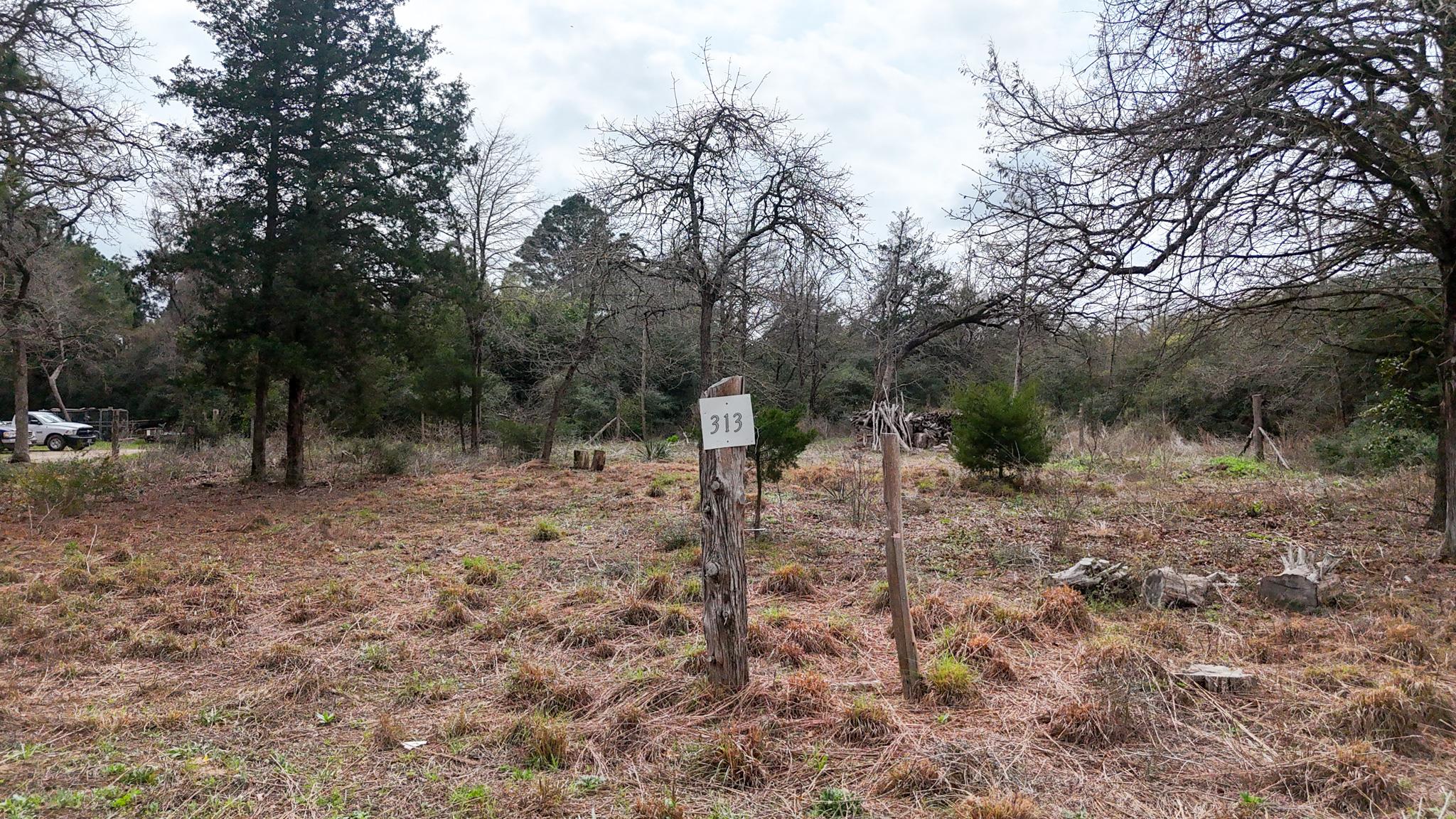 313 Dogwood Dr, Caldwell, TX 77836