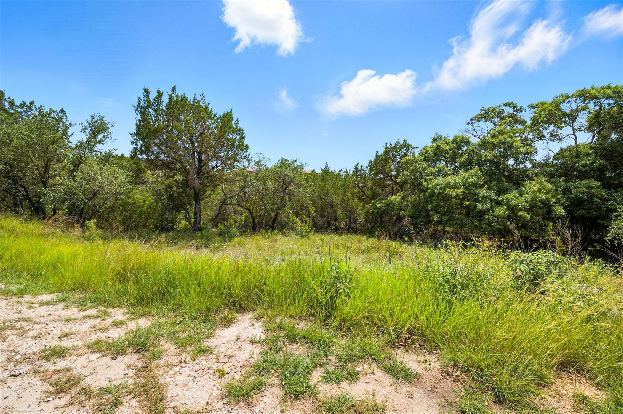 14618 Mansfield Dam Ct # 4, Austin, TX 78734