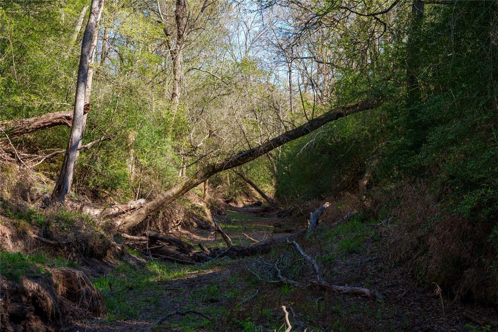 1700 County Road 216, Giddings, TX 78942